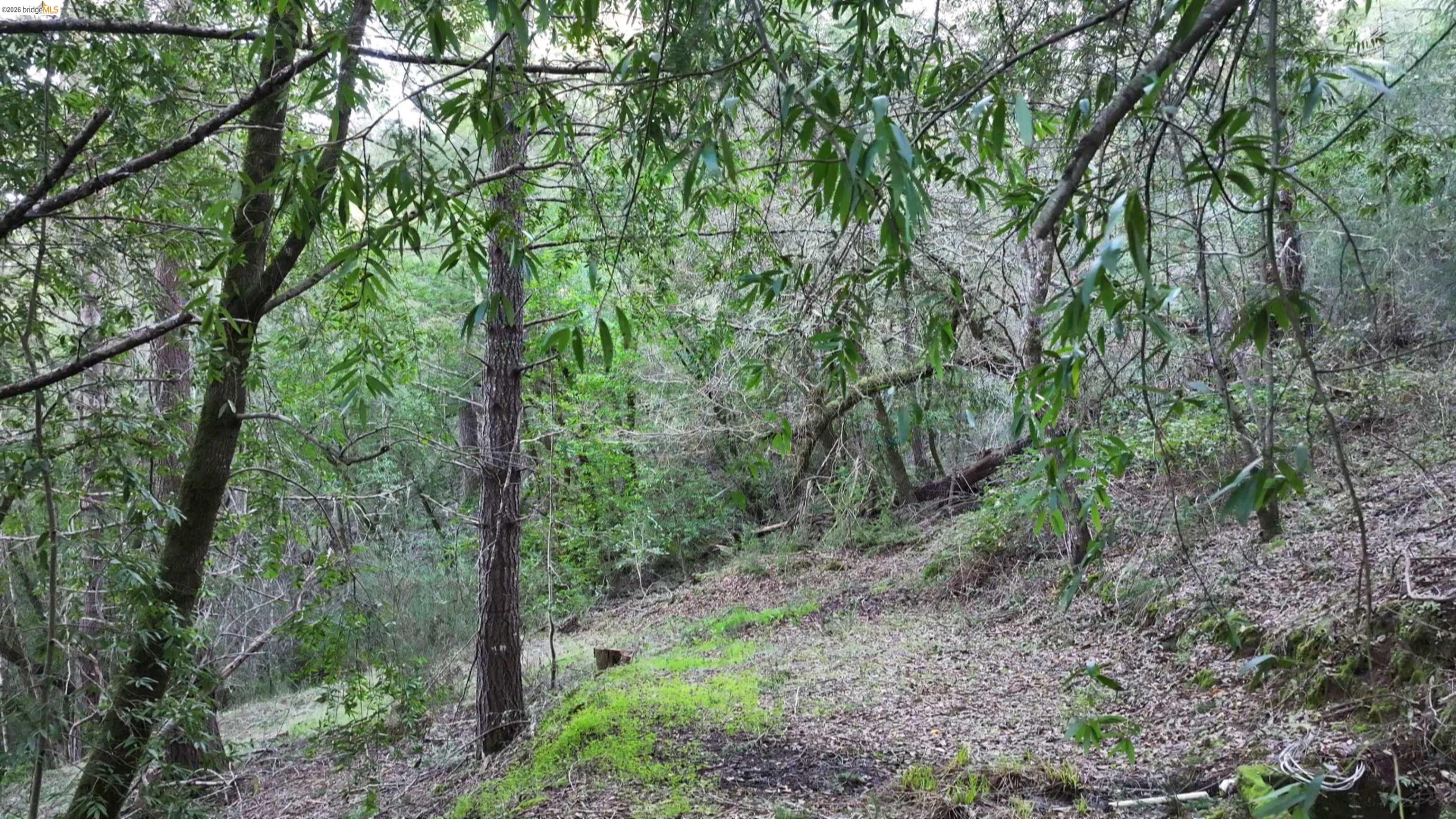 Detail Gallery Image 14 of 19 For 5051 Harrison Grade Rd, Sebastopol,  CA 95472 - 2 Beds | 2/1 Baths