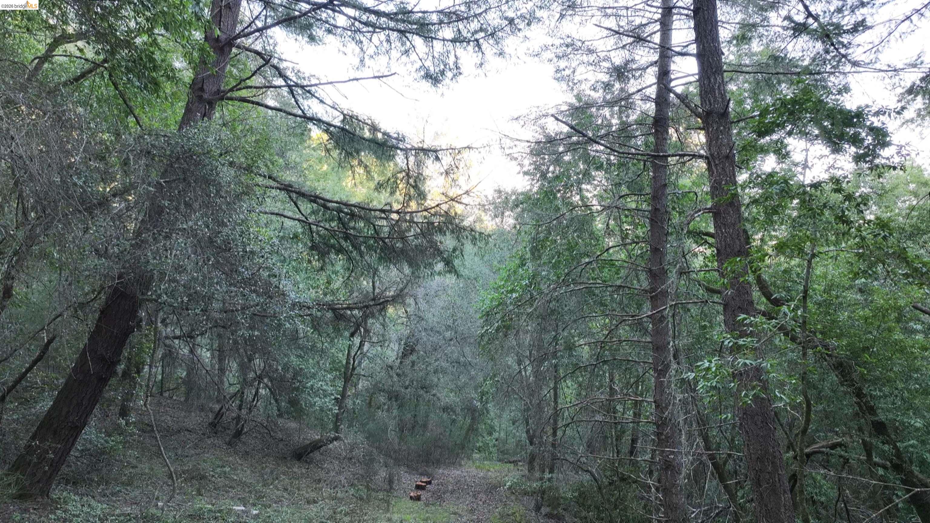 Detail Gallery Image 15 of 19 For 5051 Harrison Grade Rd, Sebastopol,  CA 95472 - 2 Beds | 2/1 Baths