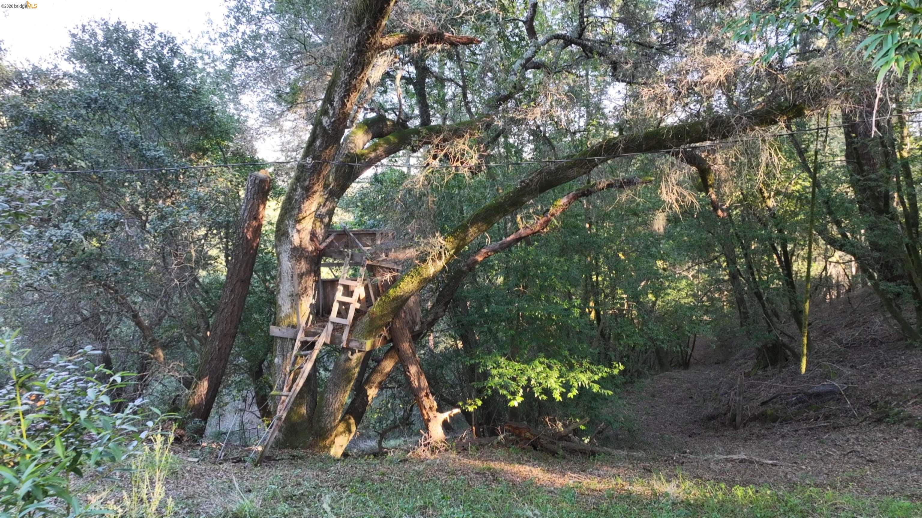 Detail Gallery Image 17 of 19 For 5051 Harrison Grade Rd, Sebastopol,  CA 95472 - 2 Beds | 2/1 Baths