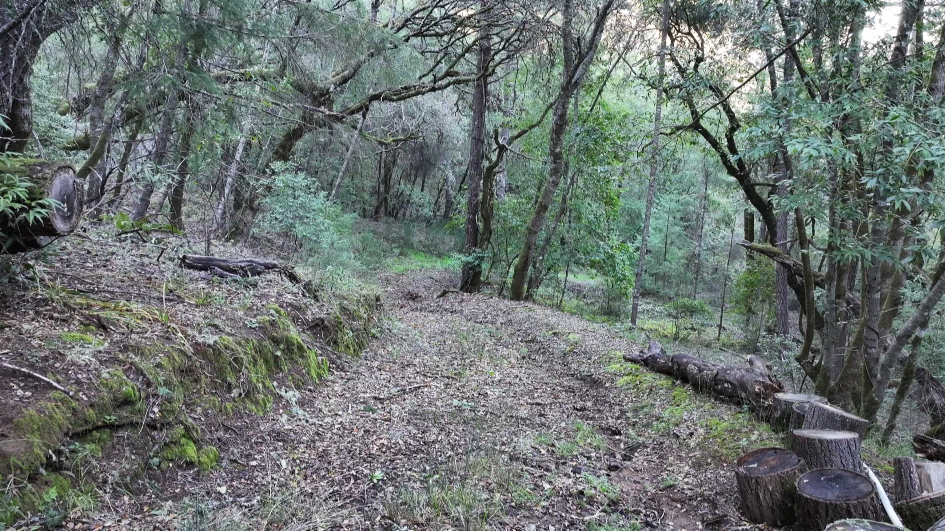 Detail Gallery Image 18 of 21 For 5051 Harrison Grade Rd, Sebastopol,  CA 95472 - 2 Beds | 2/1 Baths