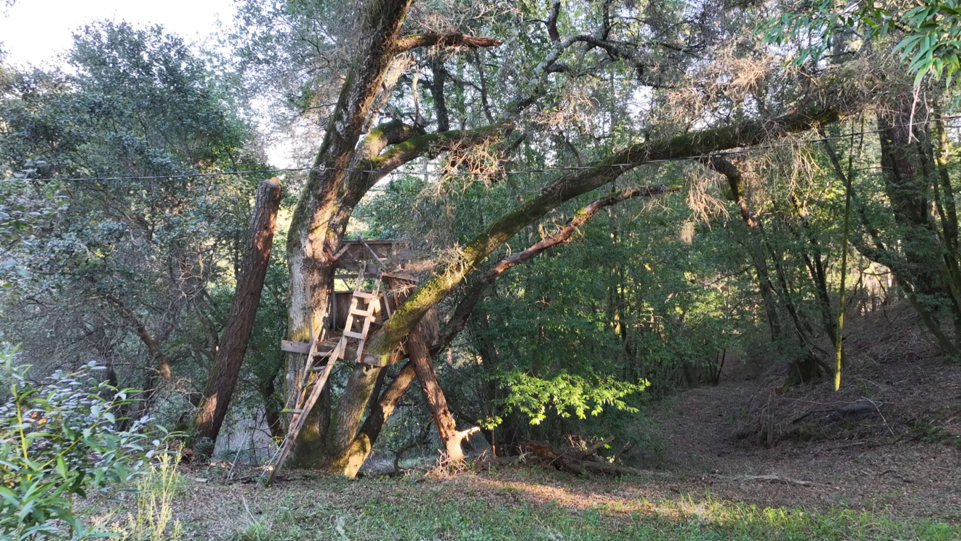 Detail Gallery Image 19 of 21 For 5051 Harrison Grade Rd, Sebastopol,  CA 95472 - 2 Beds | 2/1 Baths