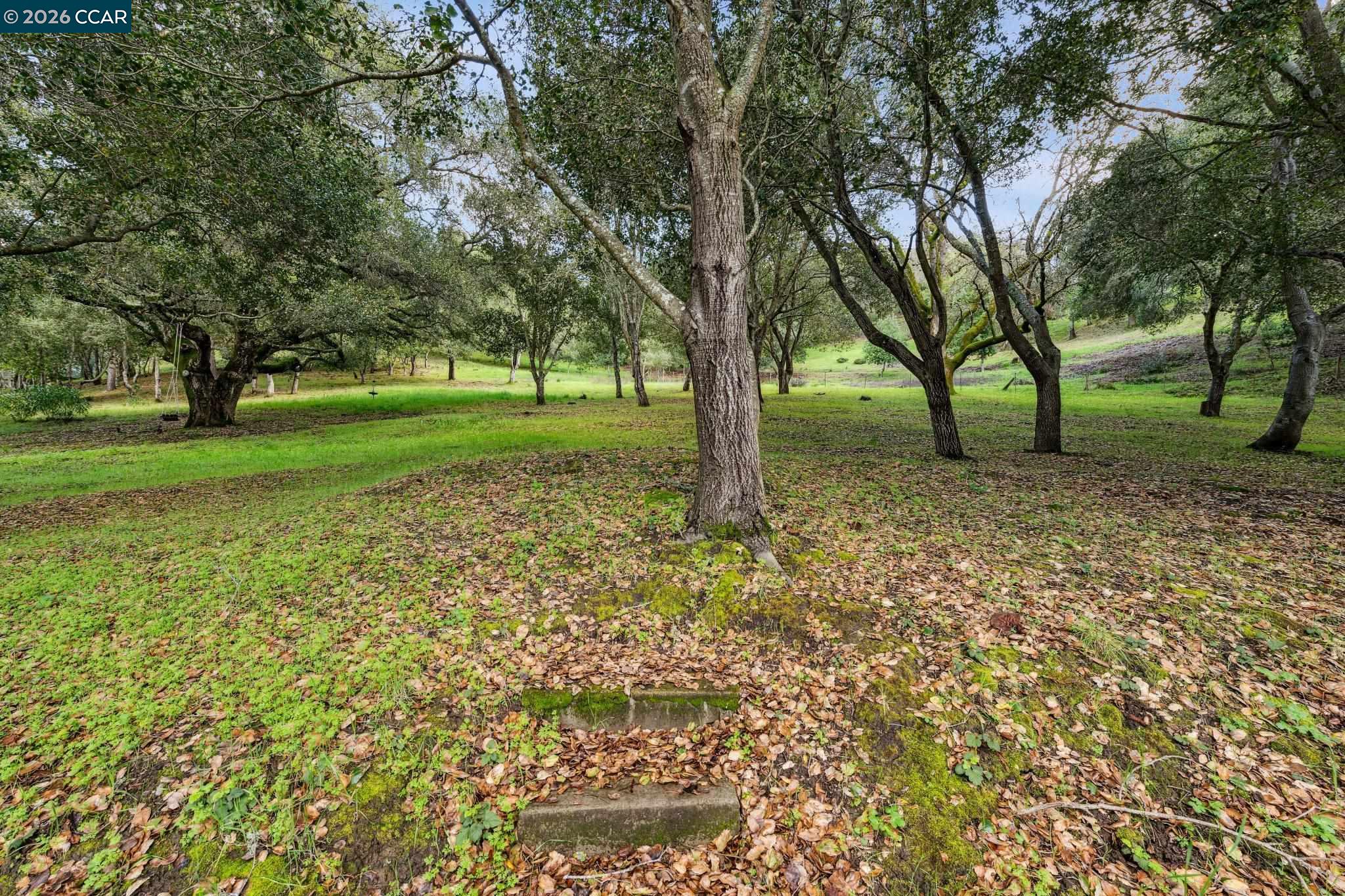 Detail Gallery Image 46 of 47 For 475 Dalewood Dr, Orinda,  CA 94563 - 5 Beds | 3/1 Baths