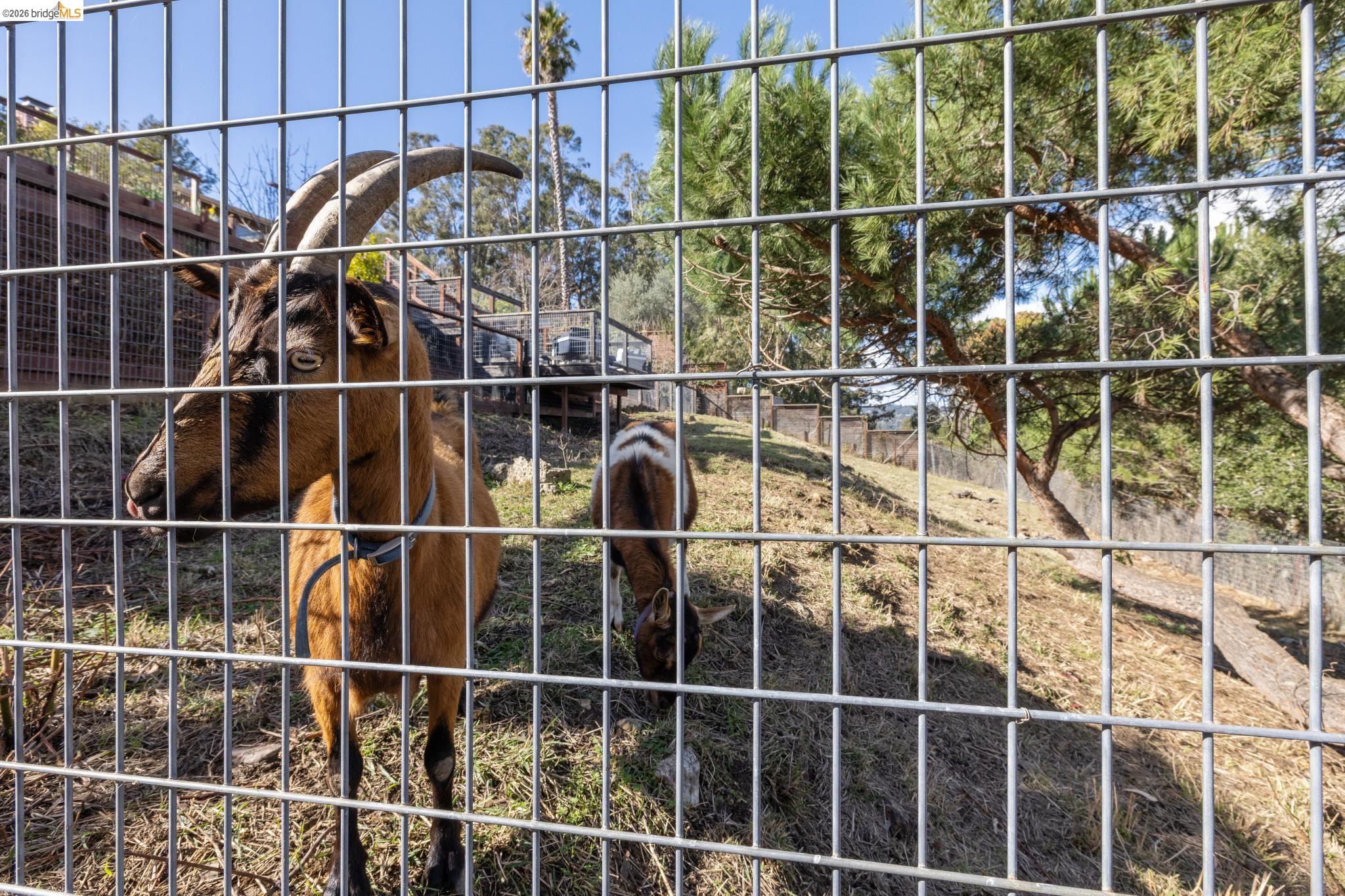 Detail Gallery Image 49 of 60 For 4450 Turner Ave, Oakland,  CA 94605 - 4 Beds | 3 Baths