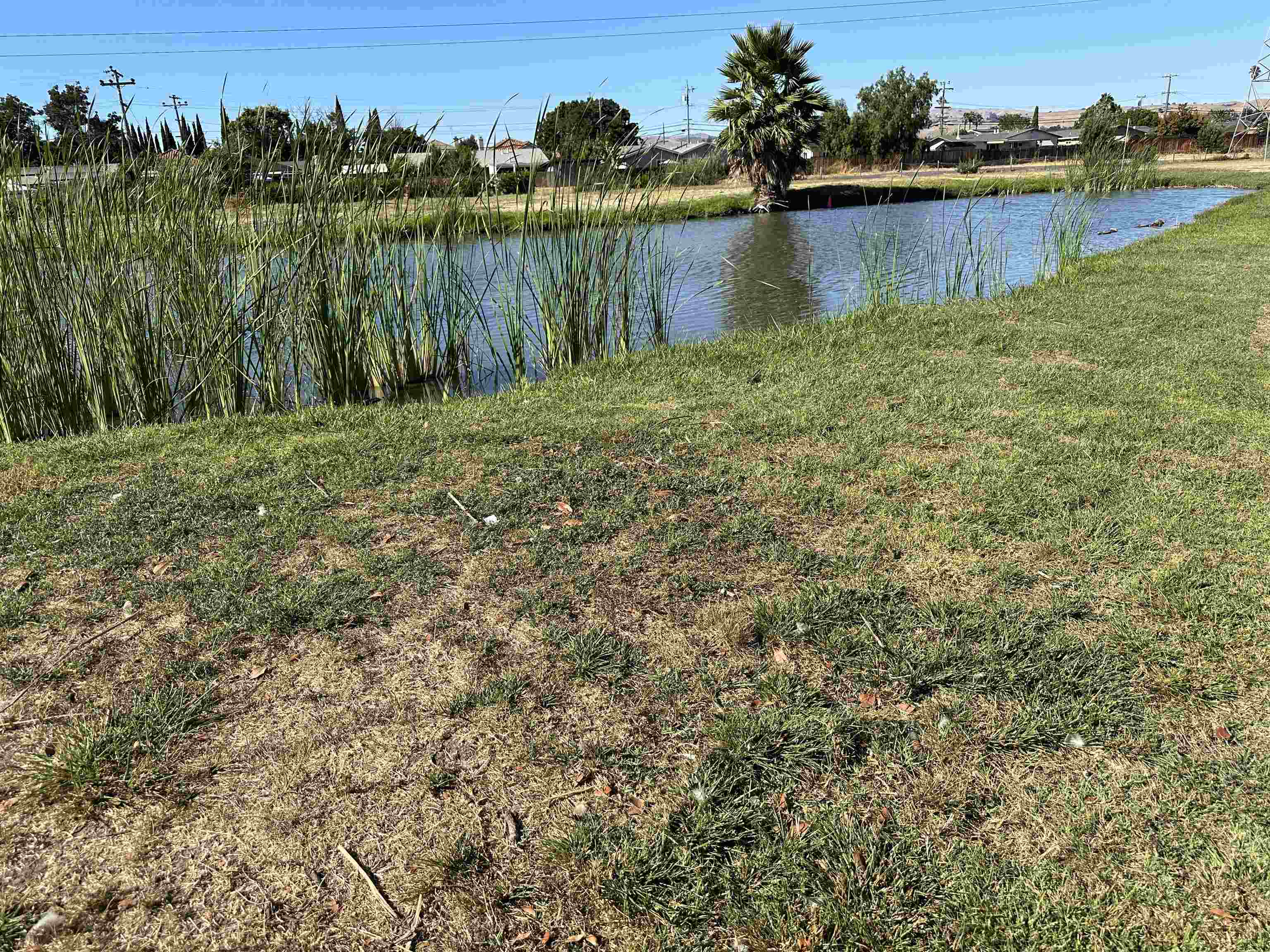 Detail Gallery Image 39 of 41 For 88 Delta Grn, Fremont,  CA 94538 - 3 Beds | 2 Baths