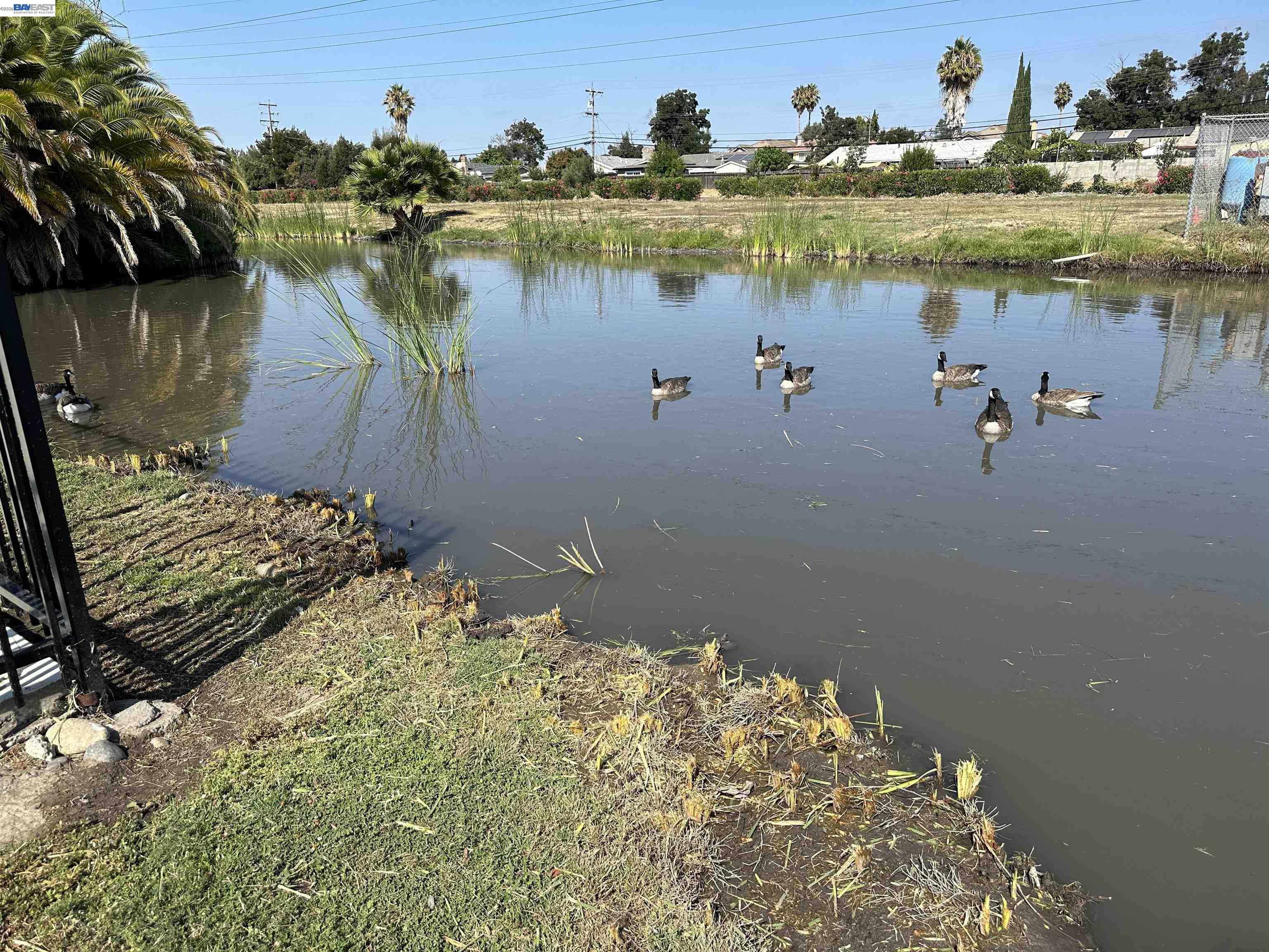 Detail Gallery Image 40 of 41 For 88 Delta Grn, Fremont,  CA 94538 - 3 Beds | 2 Baths