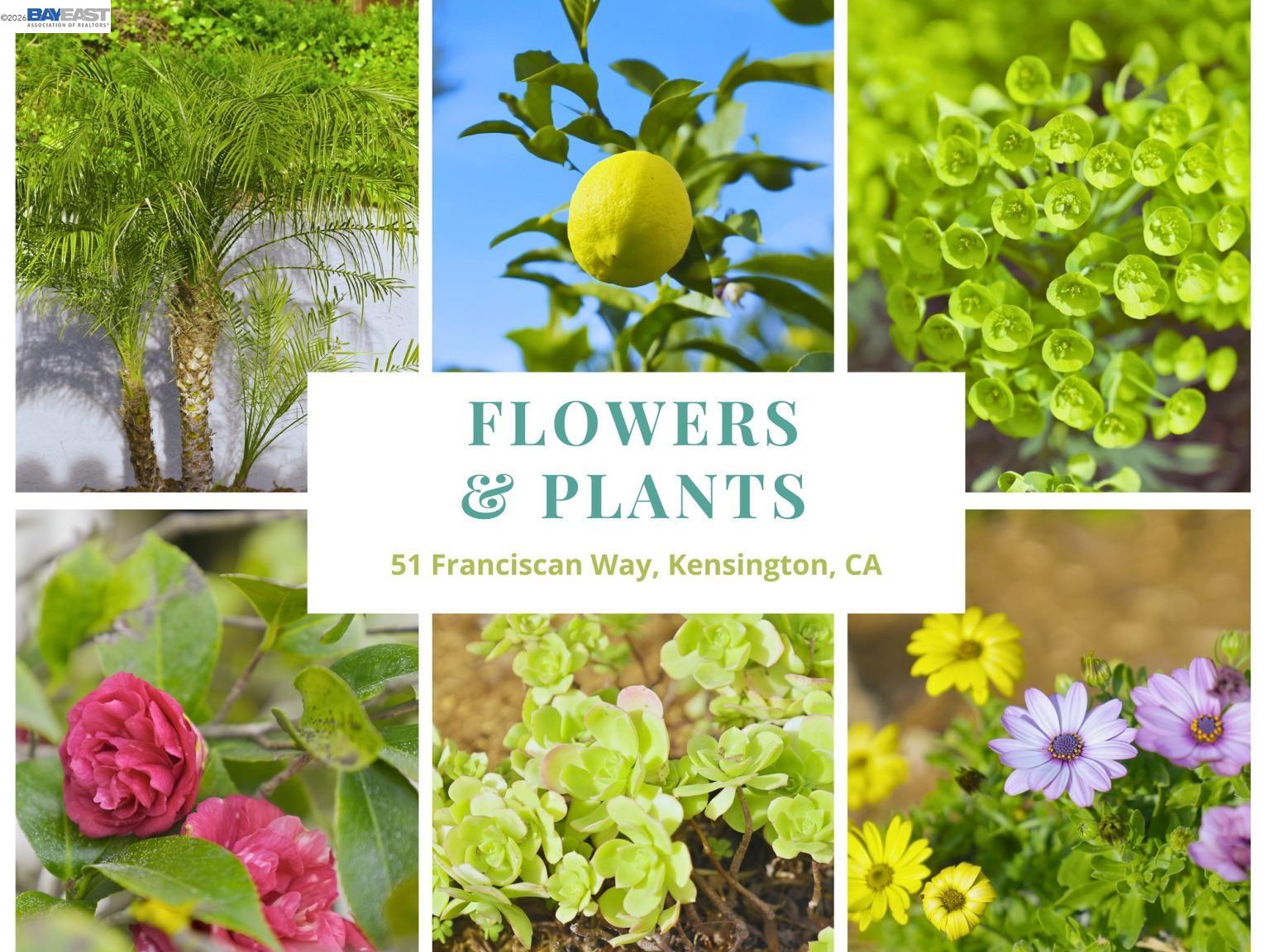 Detail Gallery Image 42 of 60 For 51 Franciscan Way, Kensington,  CA 94707 - 4 Beds | 3 Baths