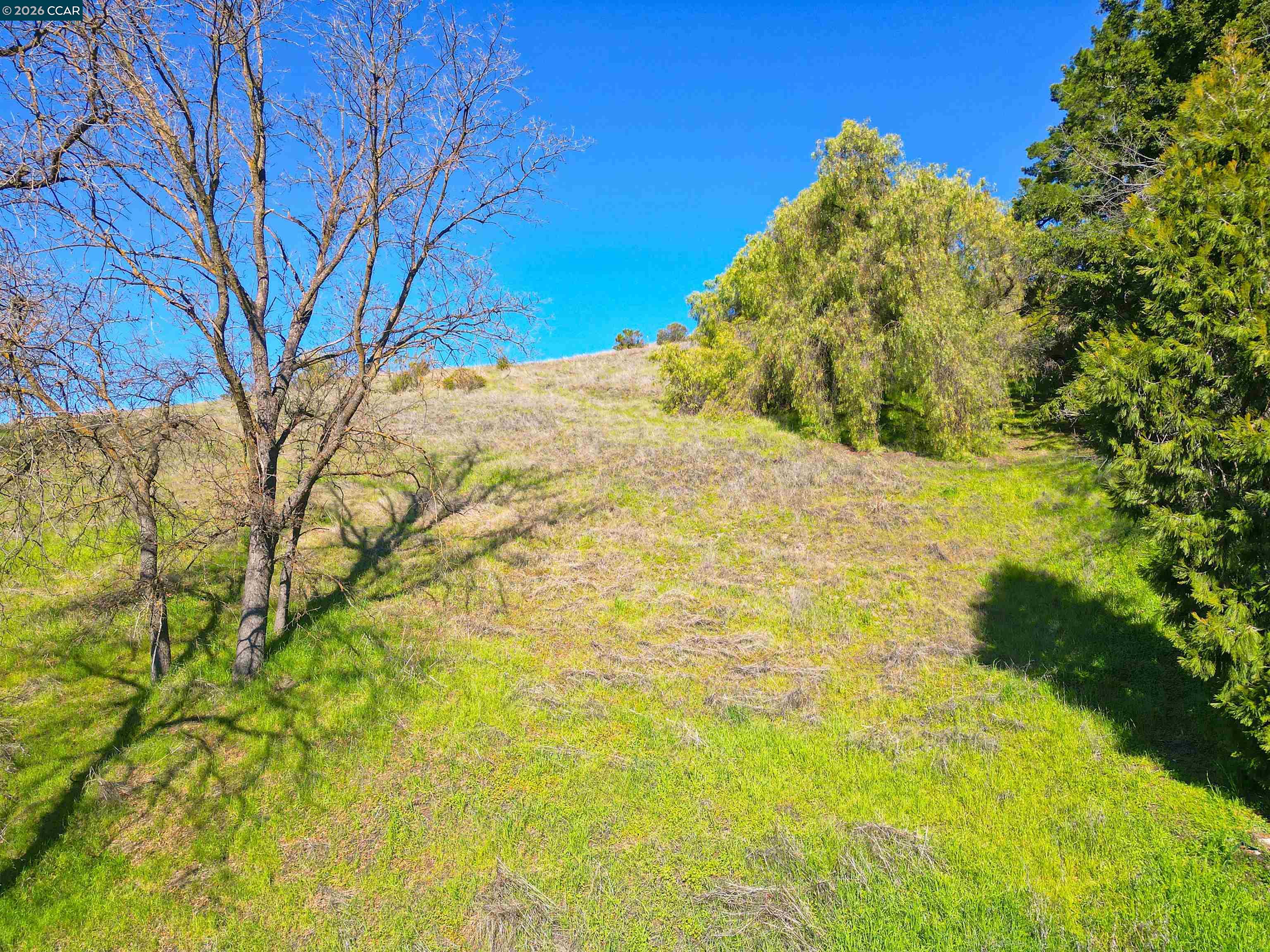 Detail Gallery Image 3 of 9 For 2590 Caballo Ranchero Dr, Diablo,  CA 94528 - – Beds | – Baths