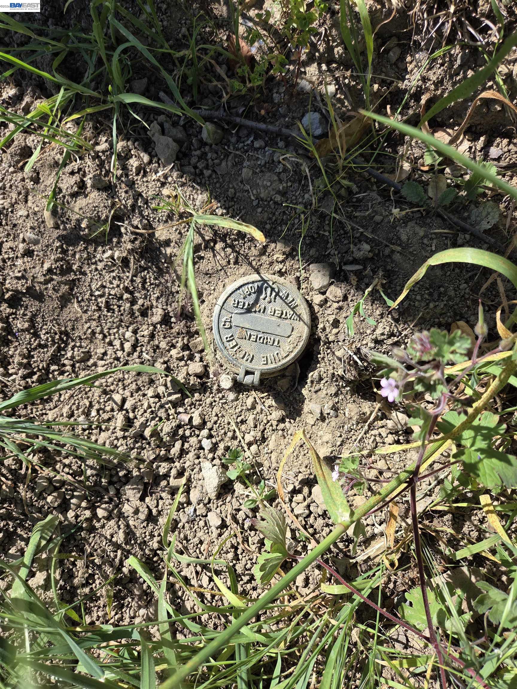 Detail Gallery Image 3 of 7 For 6971 Bristol Drive, Berkeley,  CA 94705 - – Beds | – Baths