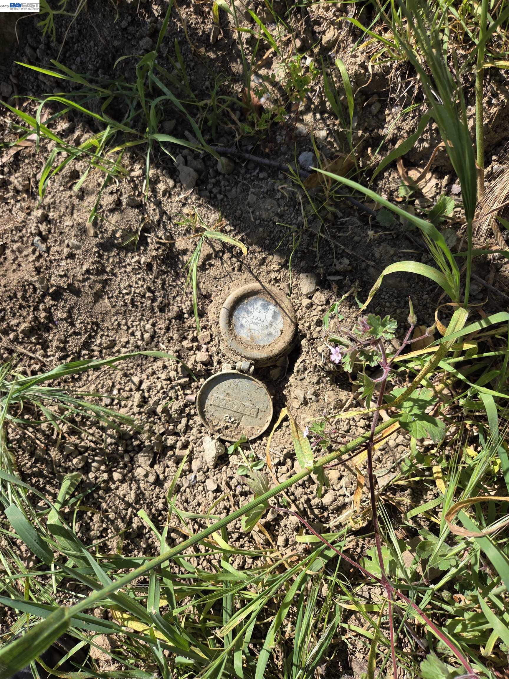 Detail Gallery Image 4 of 7 For 6971 Bristol Drive, Berkeley,  CA 94705 - – Beds | – Baths