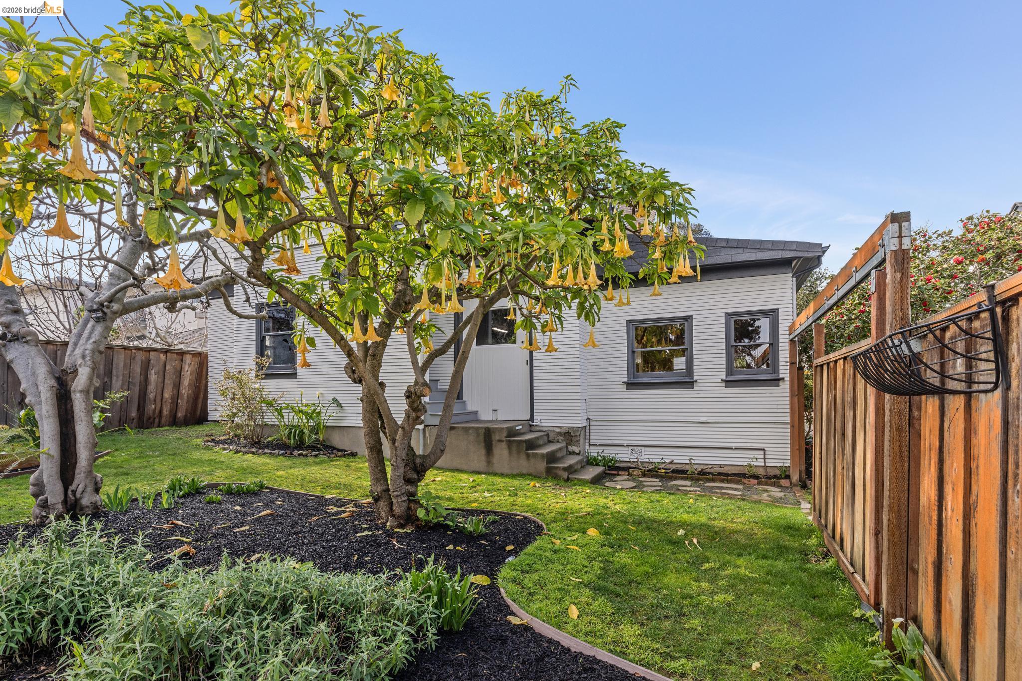 Detail Gallery Image 37 of 59 For 15 Olive Ave, Piedmont,  CA 94611 - – Beds | – Baths