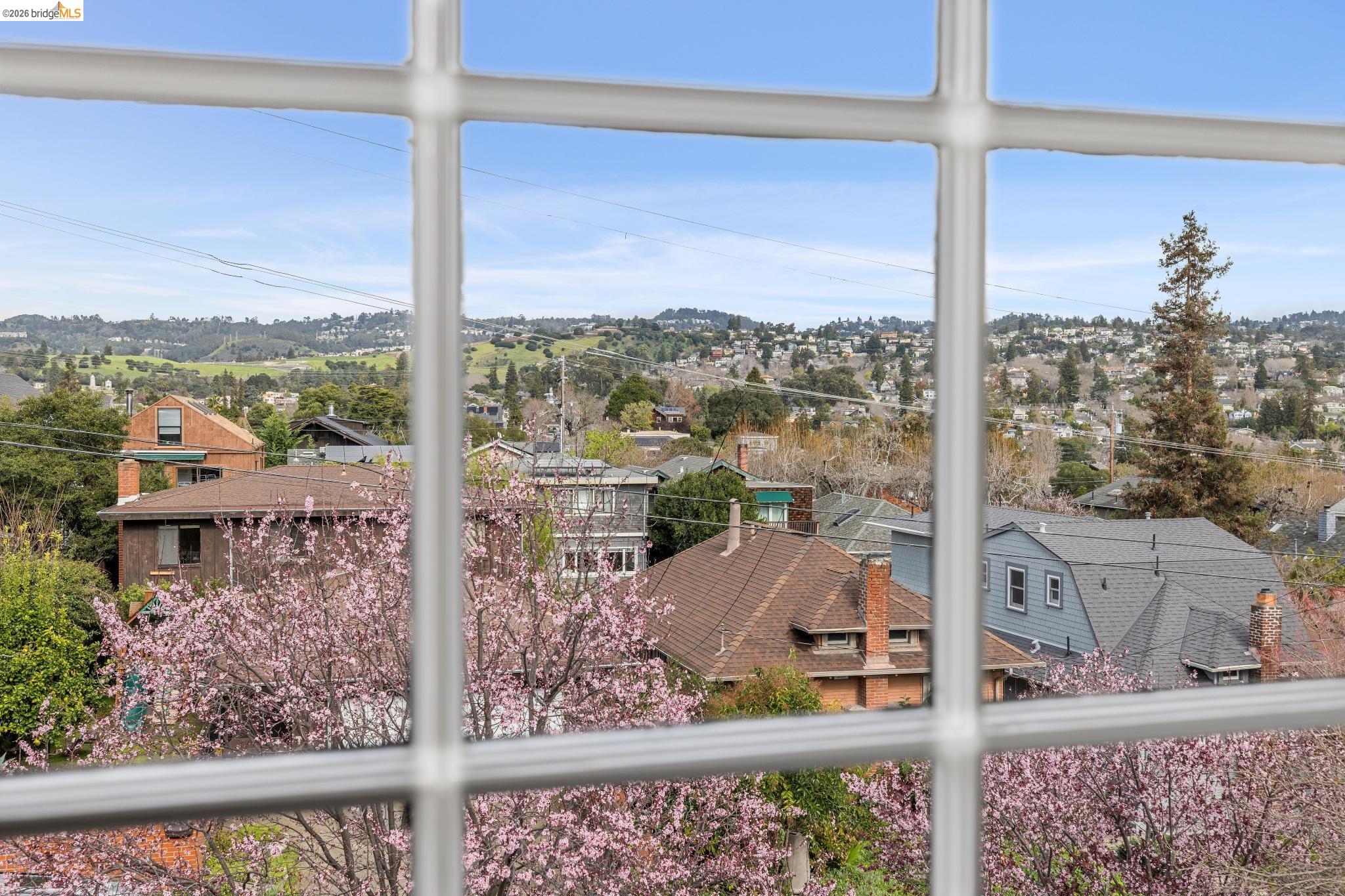 Detail Gallery Image 32 of 60 For 15 Olive Ave, Piedmont,  CA 94611 - 5 Beds | 4/1 Baths