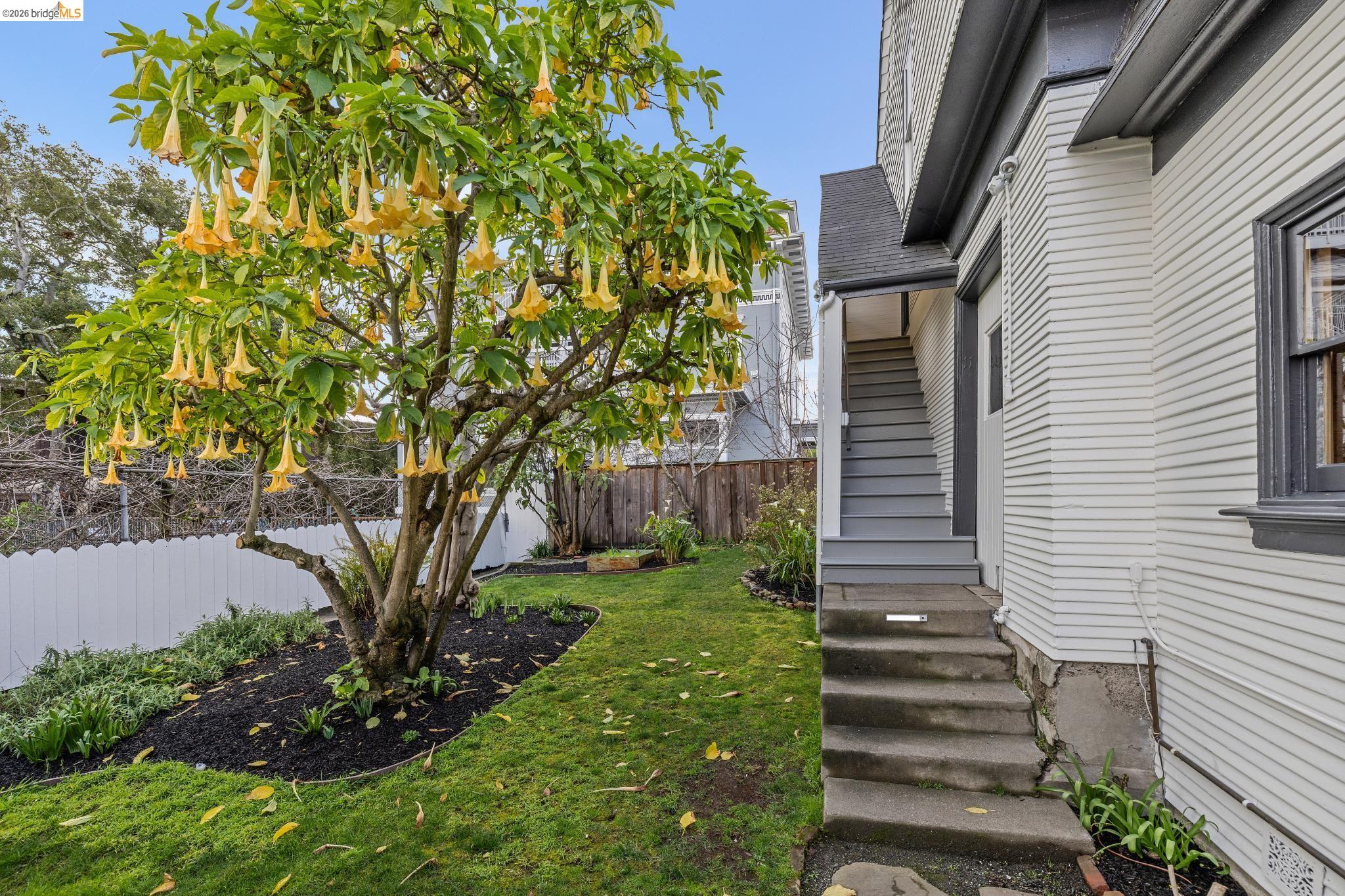 Detail Gallery Image 37 of 60 For 15 Olive Ave, Piedmont,  CA 94611 - 5 Beds | 4/1 Baths