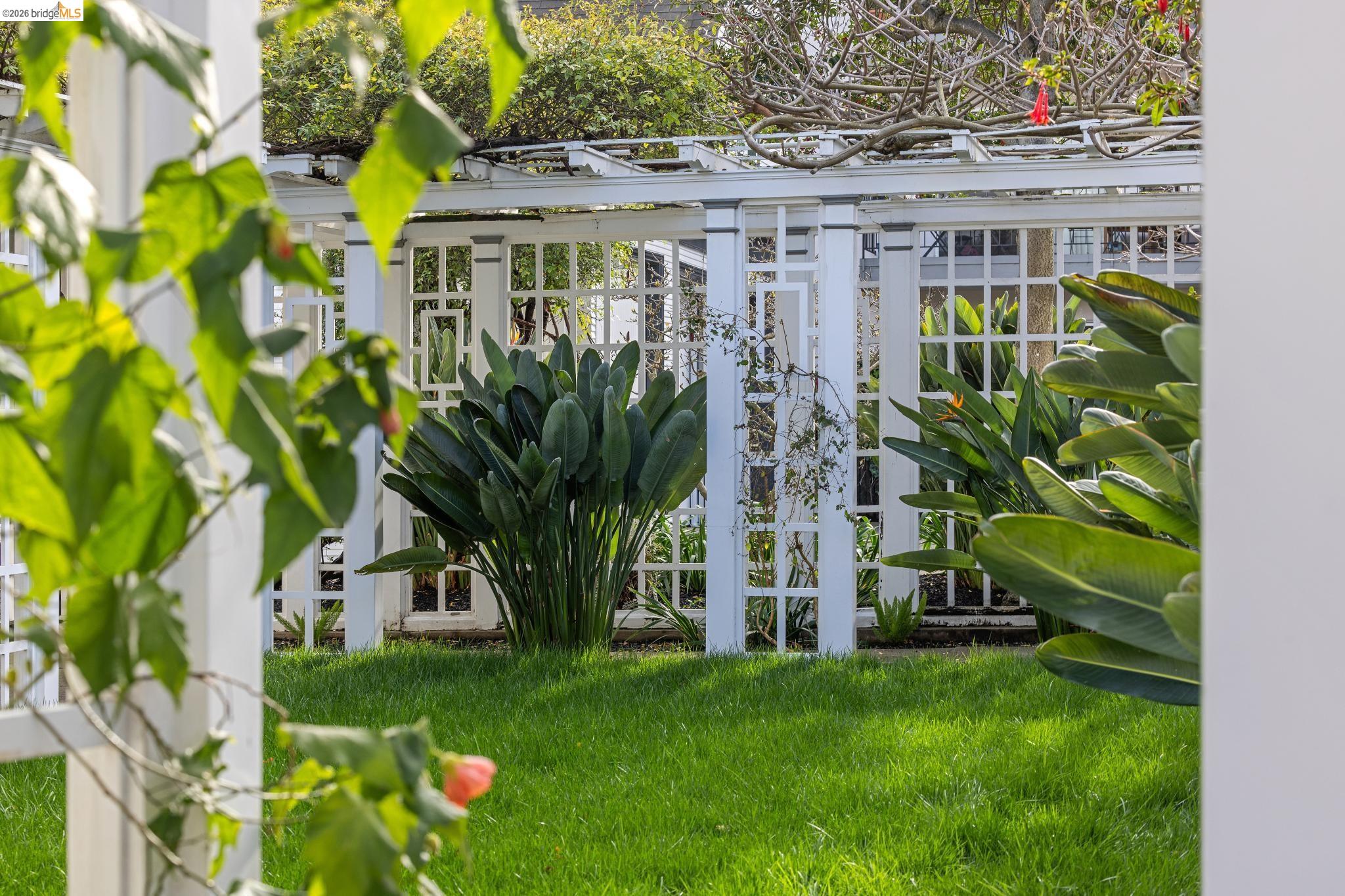 Detail Gallery Image 56 of 60 For 15 Olive Ave, Piedmont,  CA 94611 - 5 Beds | 4/1 Baths