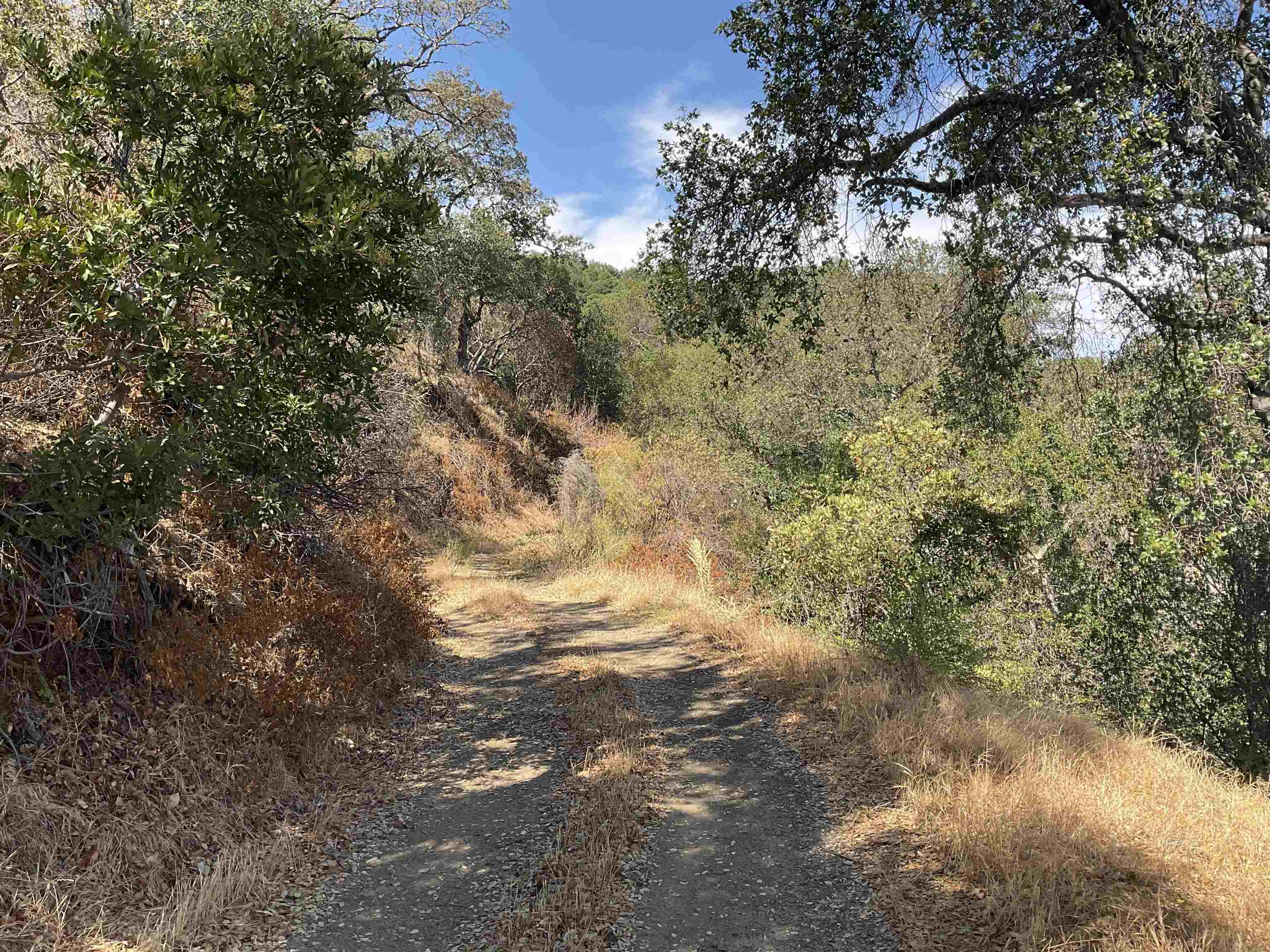 Detail Gallery Image 6 of 19 For 3984 Foothill Rd, Pleasanton,  CA 94588 - – Beds | – Baths