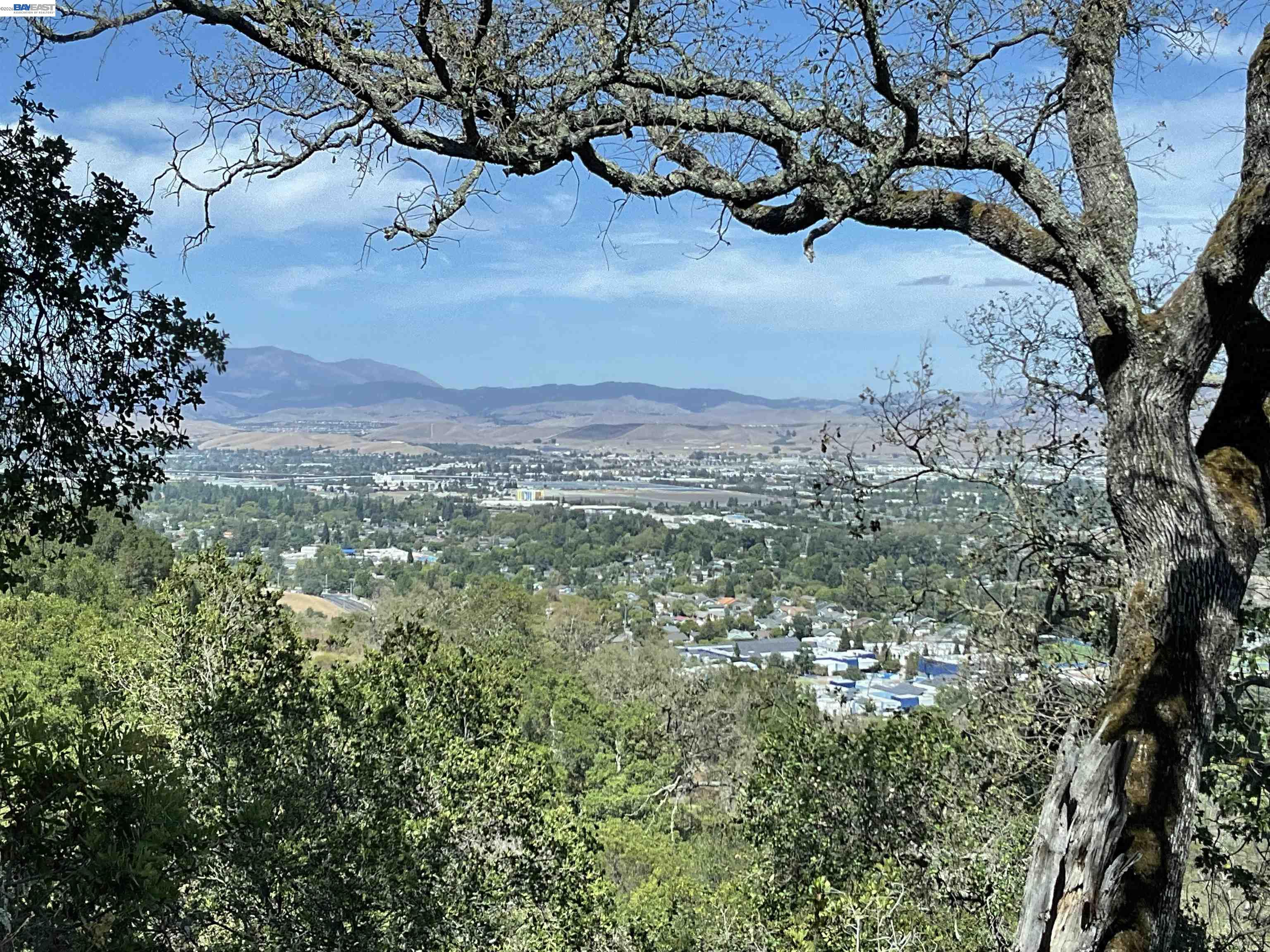 Detail Gallery Image 9 of 13 For 3984 Foothill Rd, Pleasanton,  CA 94588 - – Beds | – Baths