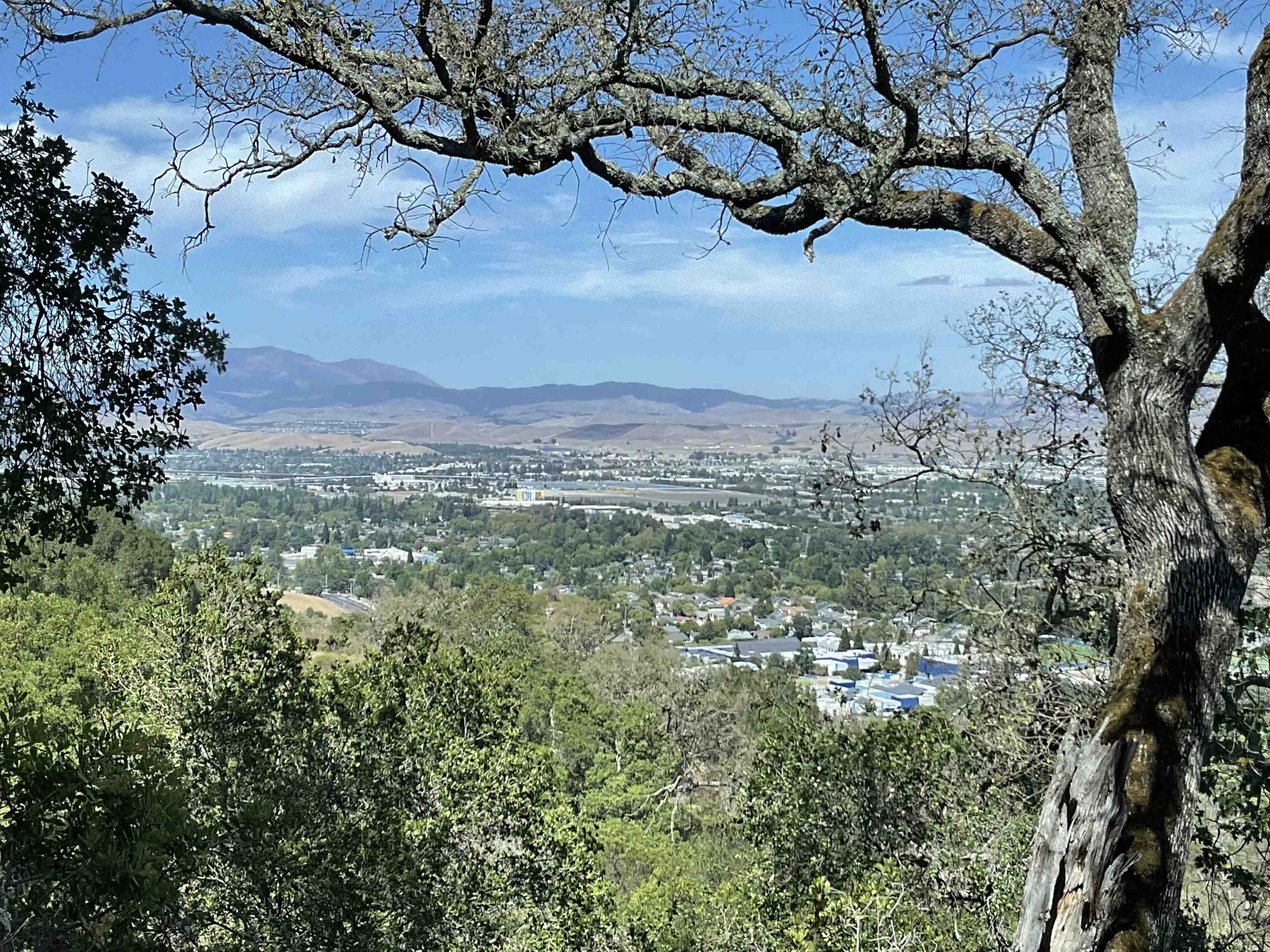 Detail Gallery Image 5 of 19 For 3984 Foothill Rd, Pleasanton,  CA 94588 - – Beds | – Baths