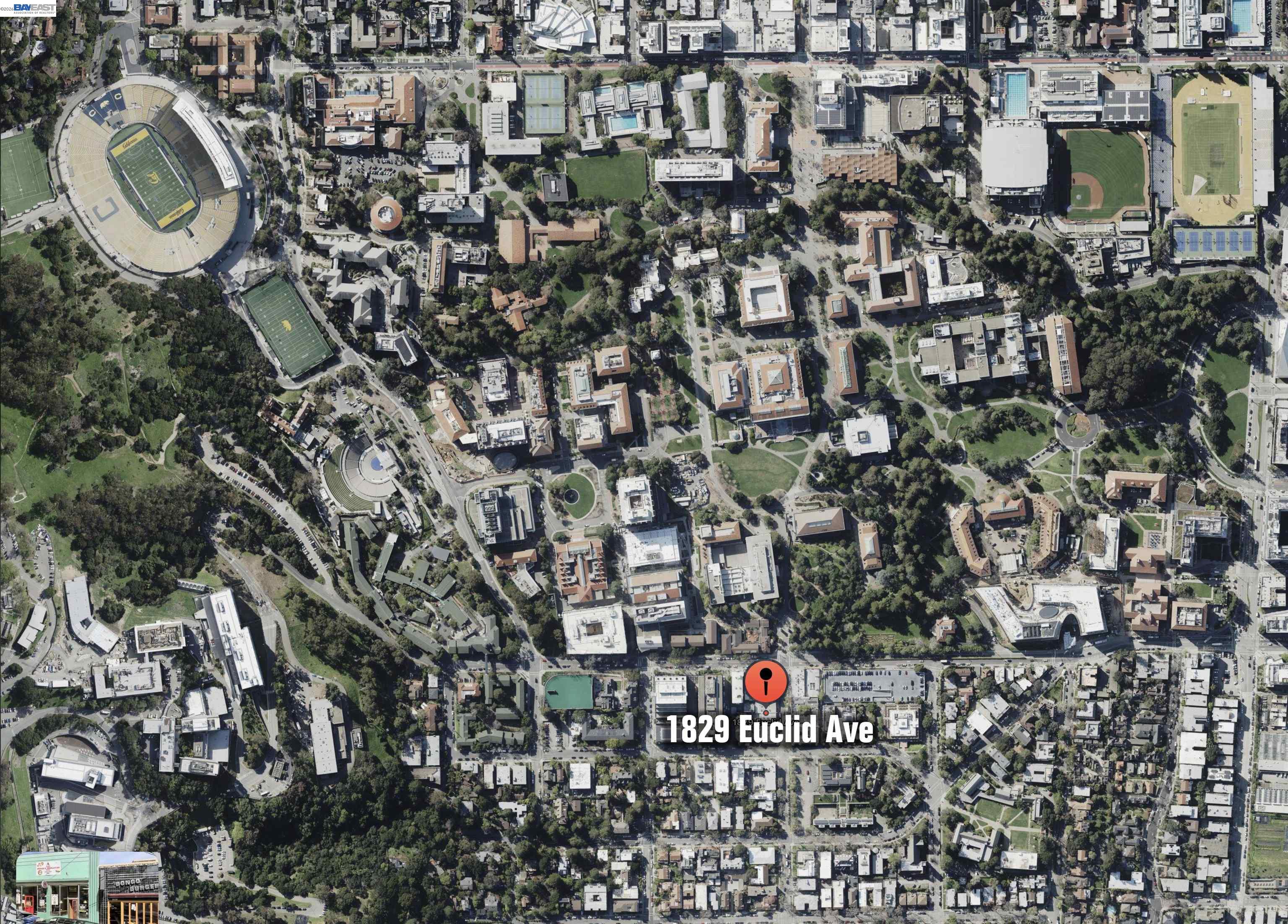 Detail Gallery Image 17 of 17 For 1829 Euclid Ave, Berkeley,  CA 94709 - – Beds | – Baths