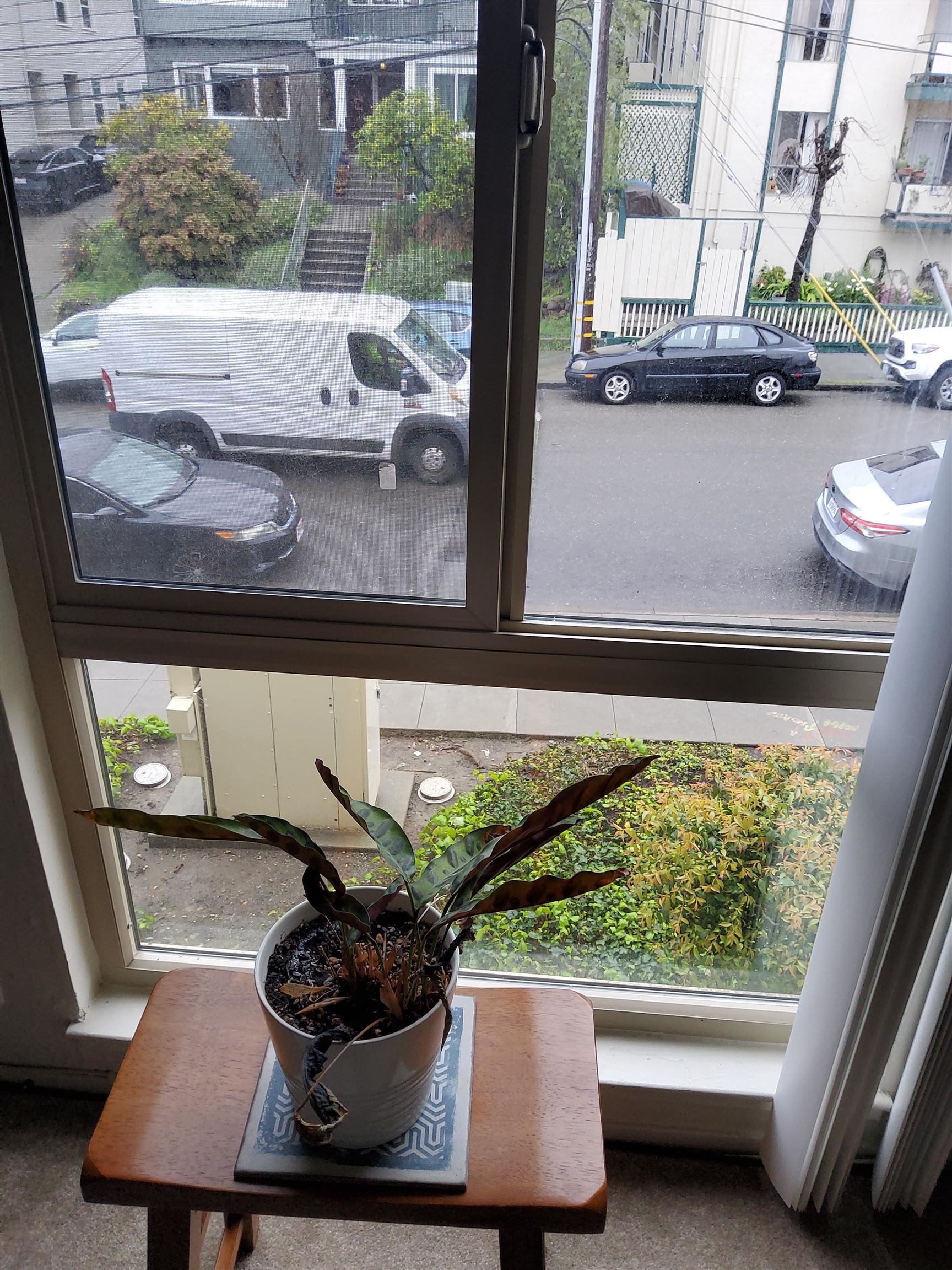 Photo #2: 41124451 Listing: Photo #2