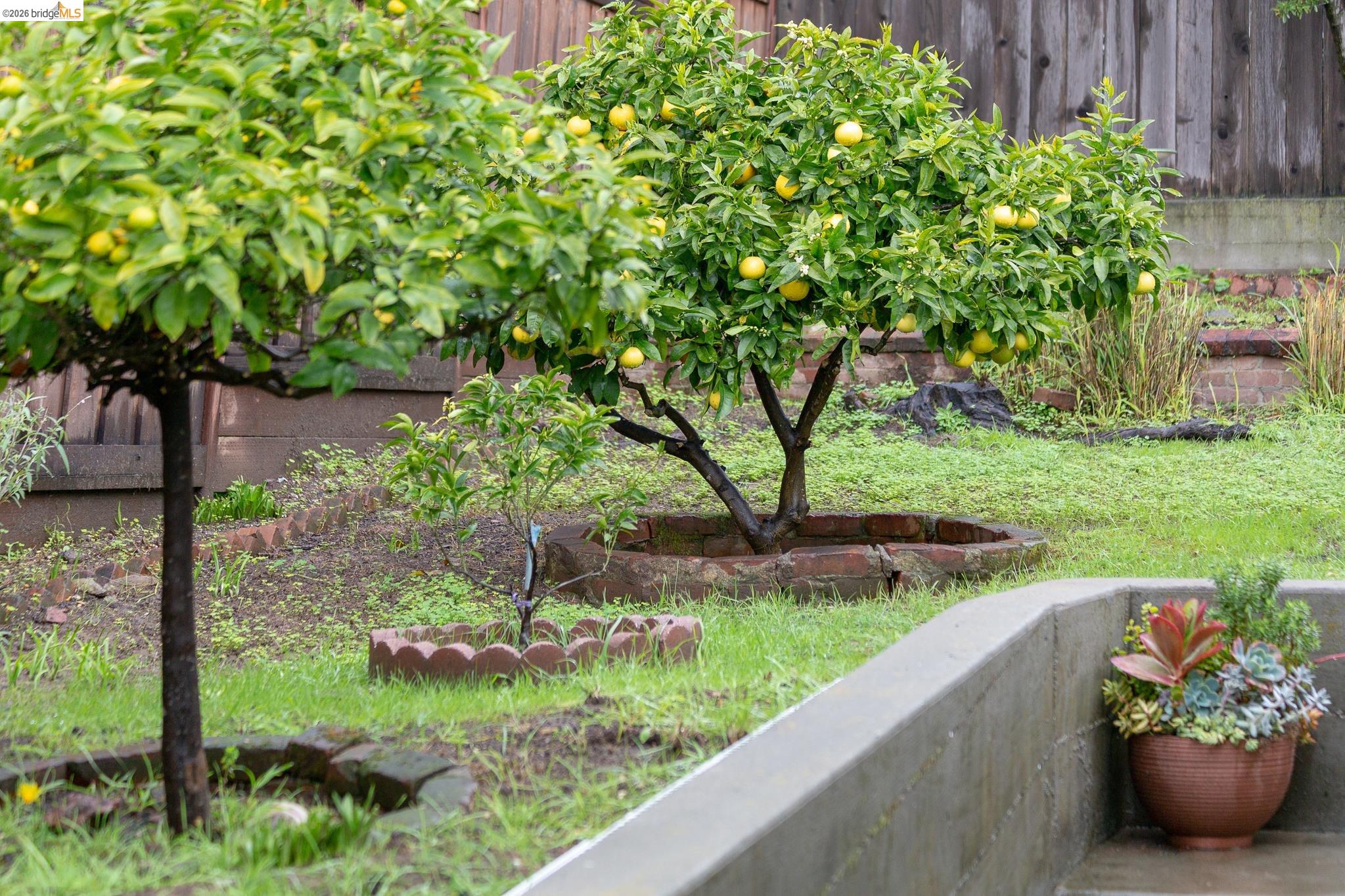 Detail Gallery Image 42 of 49 For 3533 Boston Ave, Oakland,  CA 94602 - 3 Beds | 2 Baths