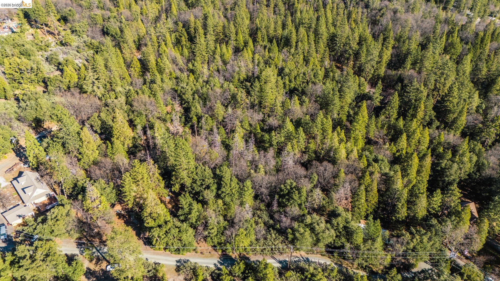 Front Image Thumbnail for EB41124464