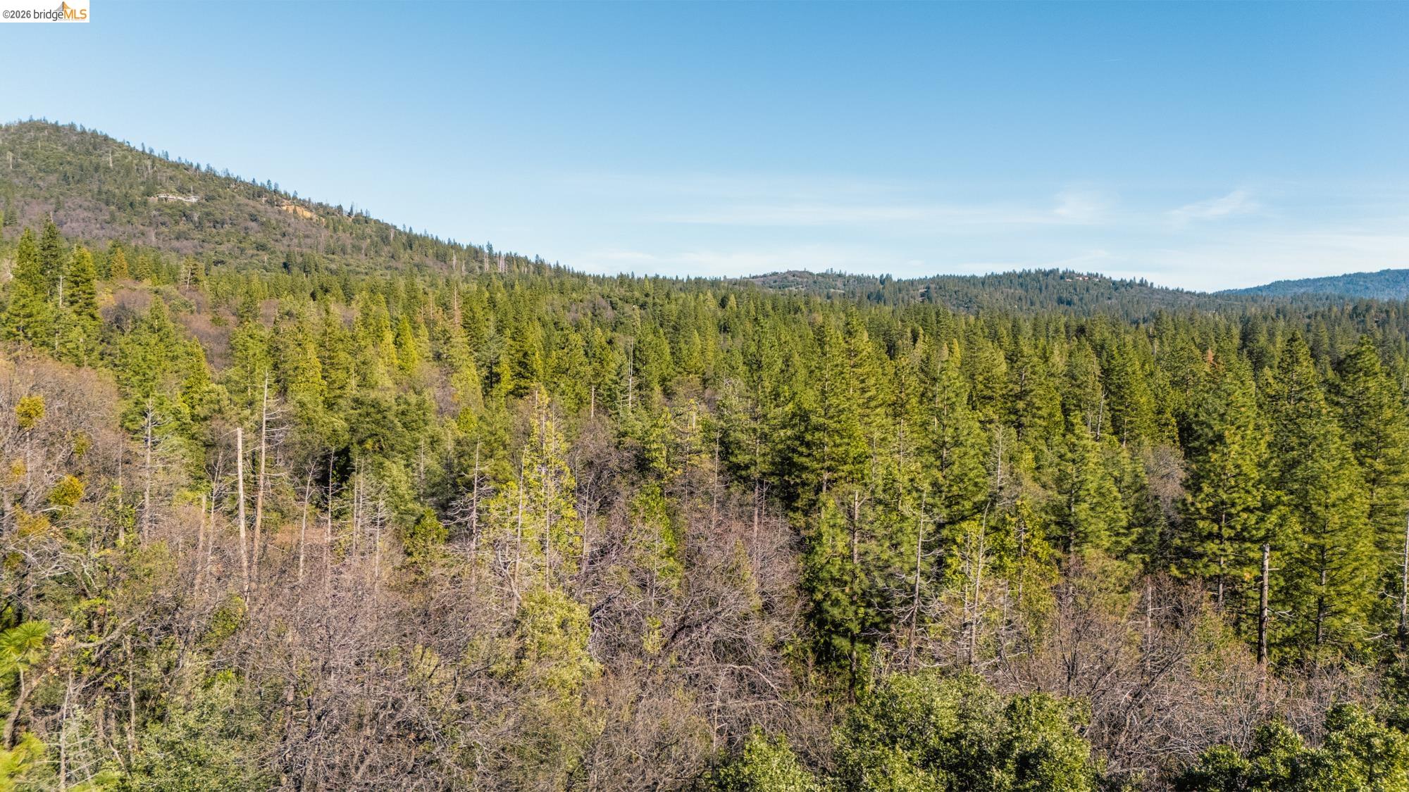 Detail Gallery Image 9 of 12 For Par C Lazy Z, Sonora,  CA 95370 - – Beds | – Baths