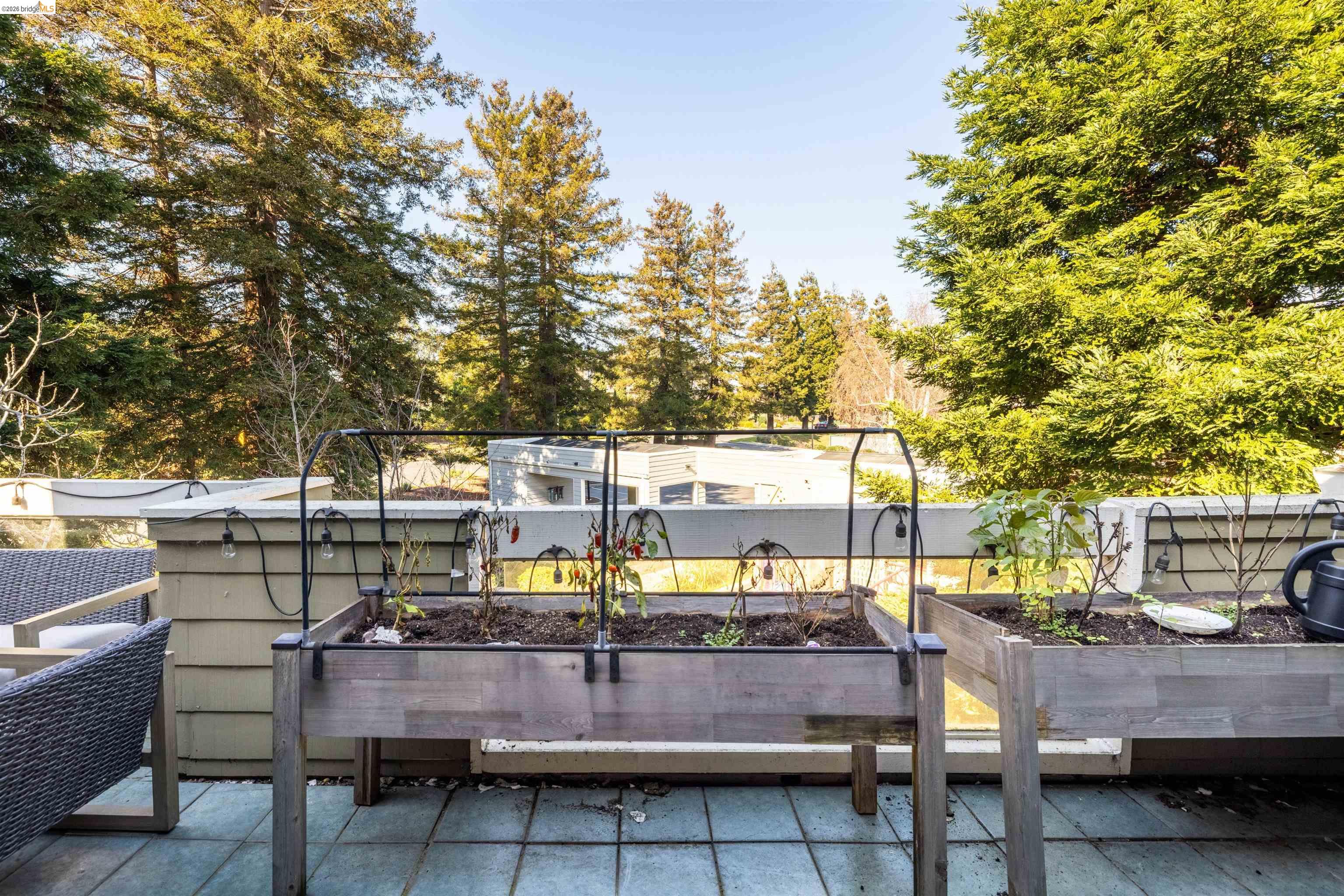 Photo #30: 41124496 Listing: Photo #30