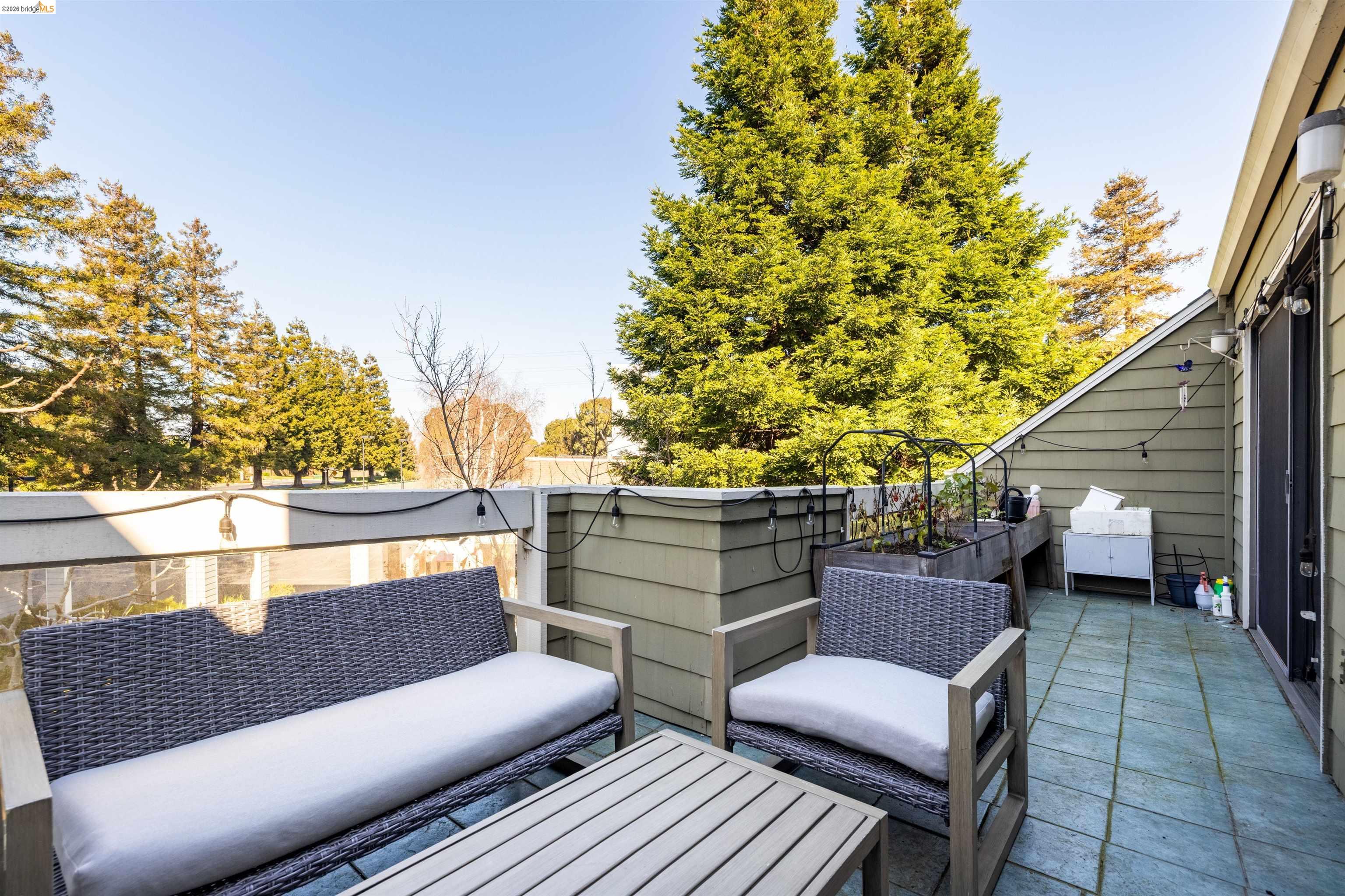 Photo #31: 41124496 Listing: Photo #31