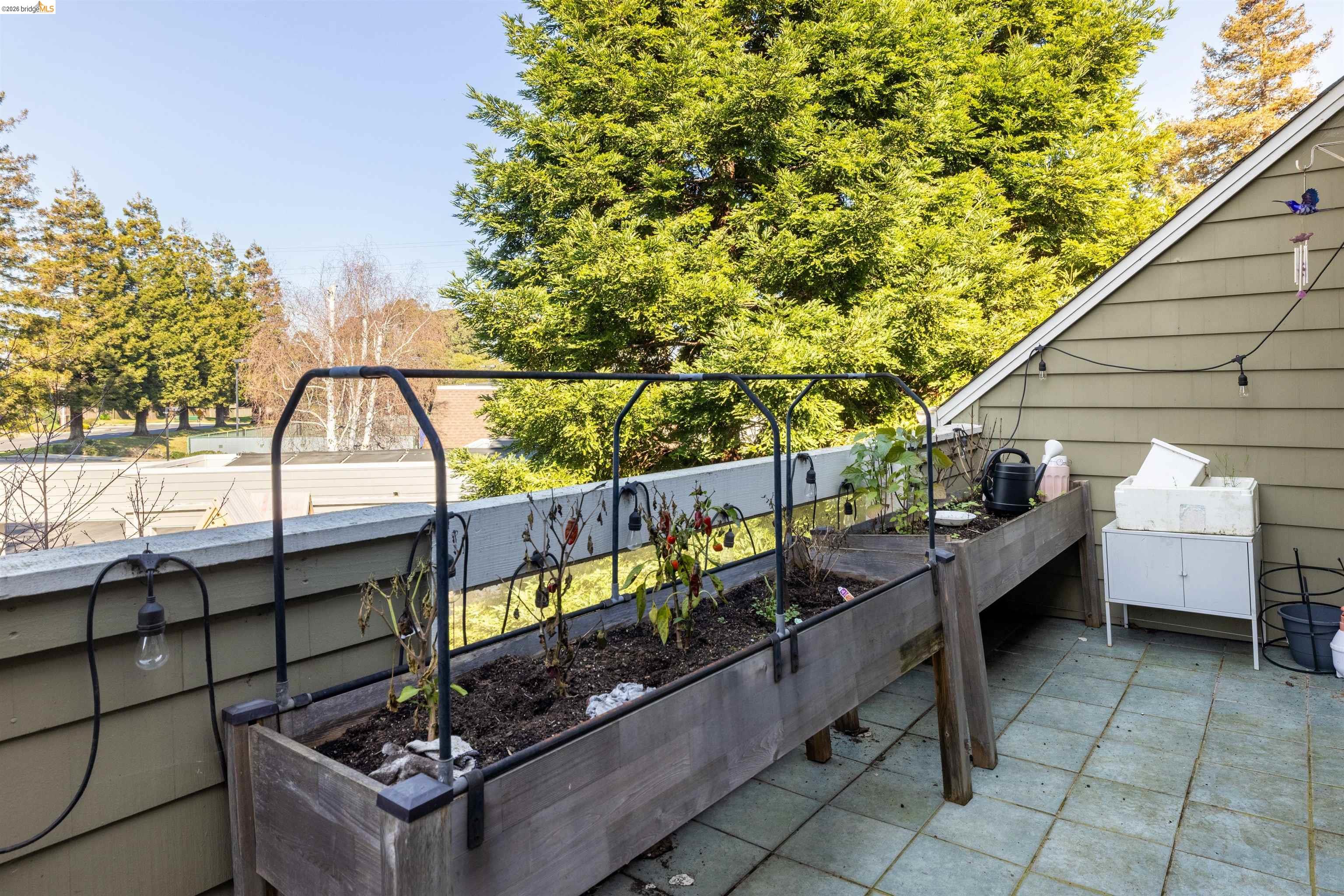 Photo #35: 41124496 Listing: Photo #35