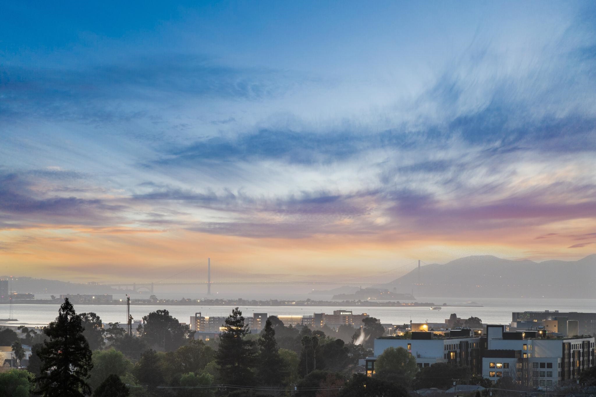 Photo #4: 41124505 Listing: Photo #4