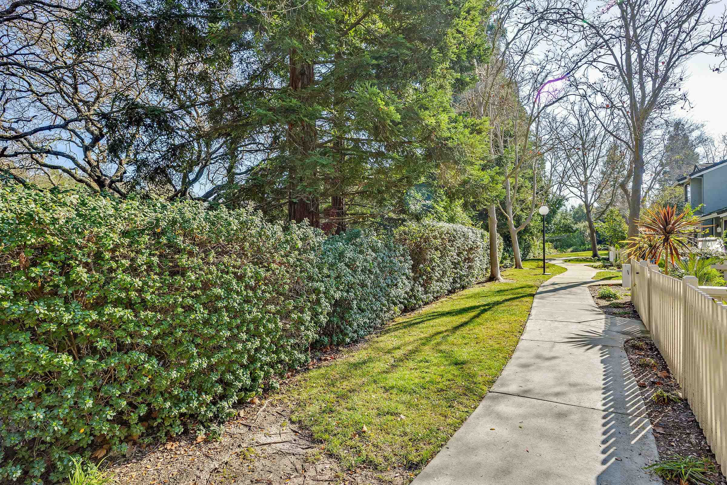 Photo #30: 41124521 Listing: Photo #30