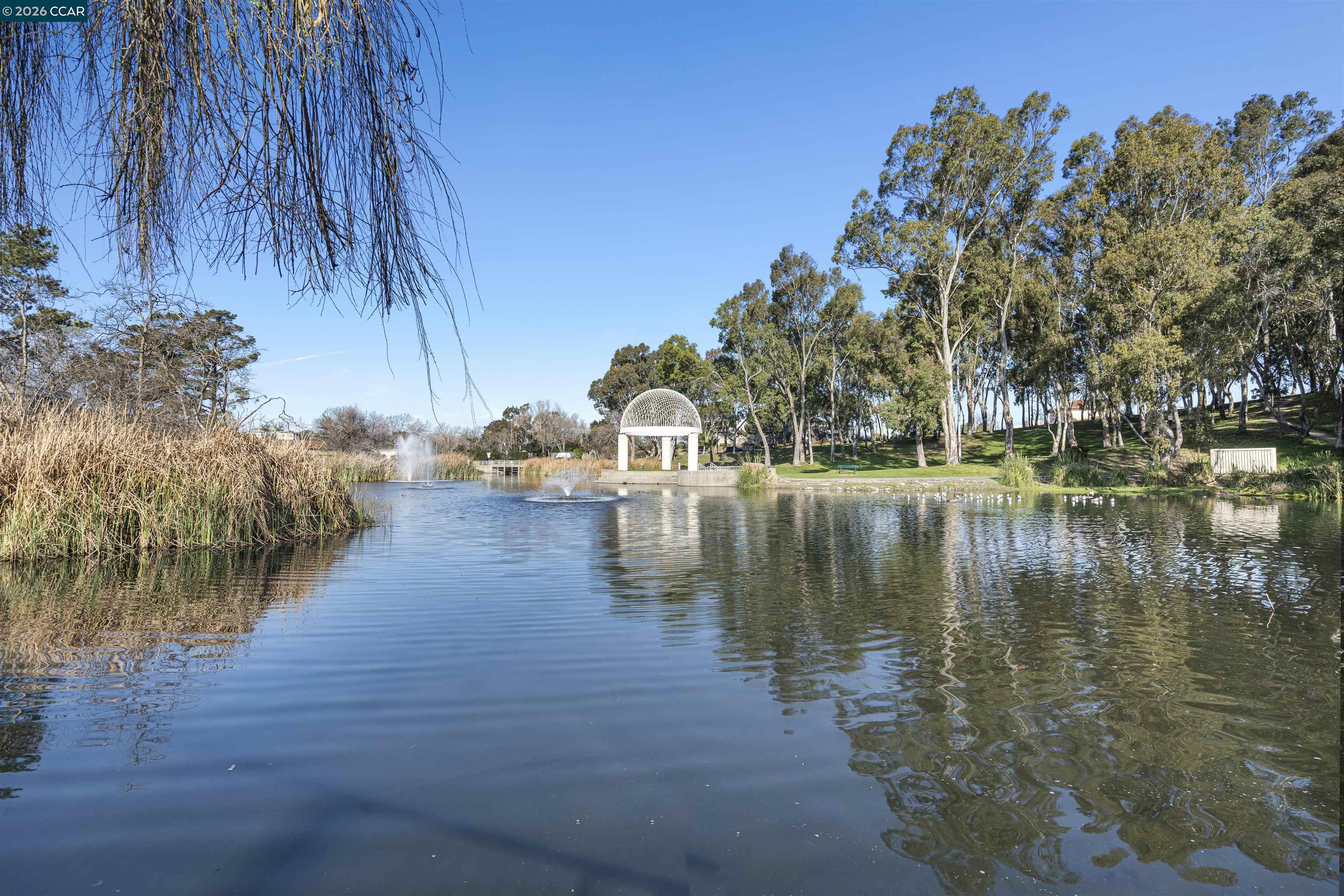 Photo #23: 41124551 Listing: Photo #23