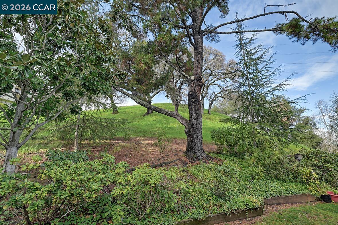 Photo #16: 41124552 Listing: Photo #16