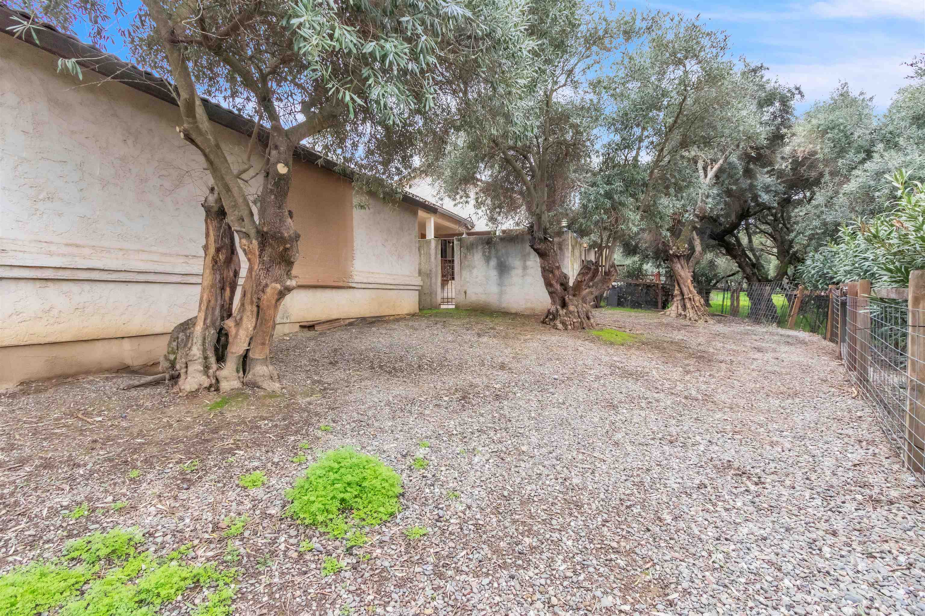 Detail Gallery Image 46 of 54 For 3665 Illinois Avenue, Corning,  CA 96021-9280 - 3 Beds | 2/1 Baths