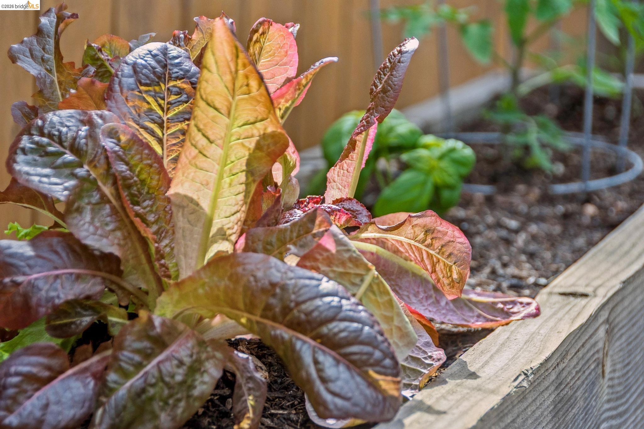 Detail Gallery Image 32 of 34 For 2465 Alida St, Oakland,  CA 94602 - 2 Beds | 1 Baths