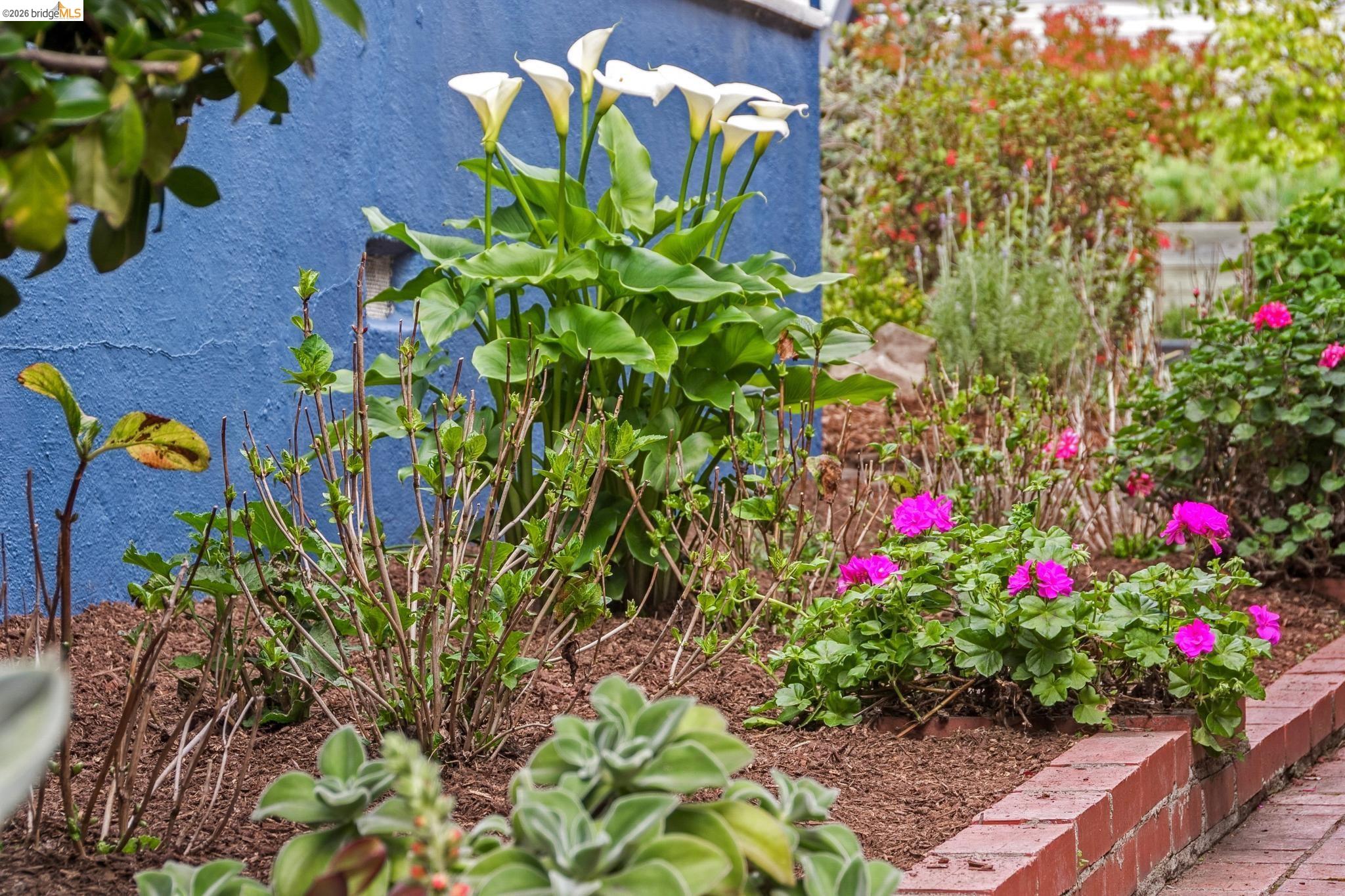 Detail Gallery Image 33 of 34 For 2465 Alida St, Oakland,  CA 94602 - 2 Beds | 1 Baths