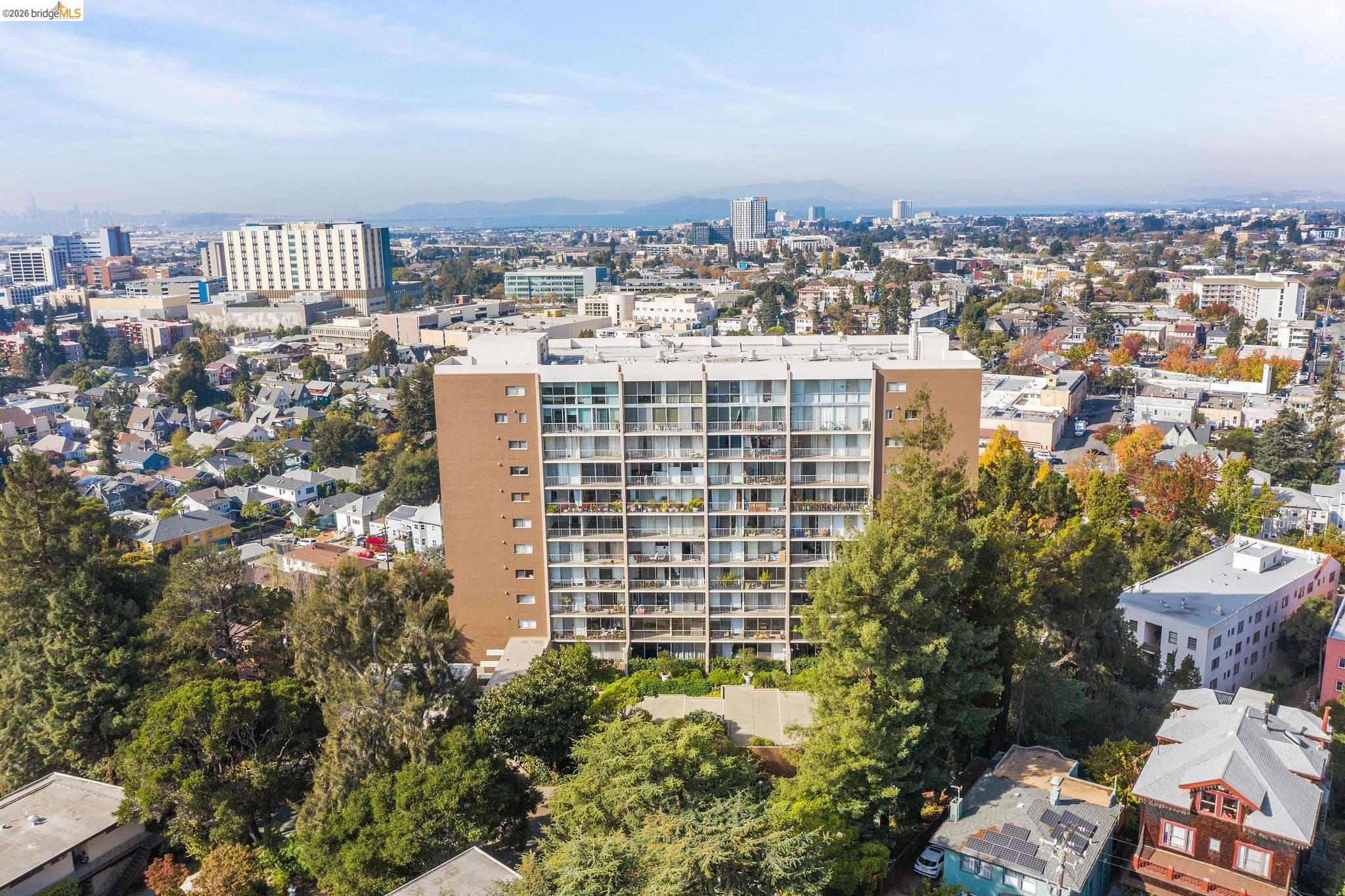 Photo #36: 41124562 Listing: Photo #36