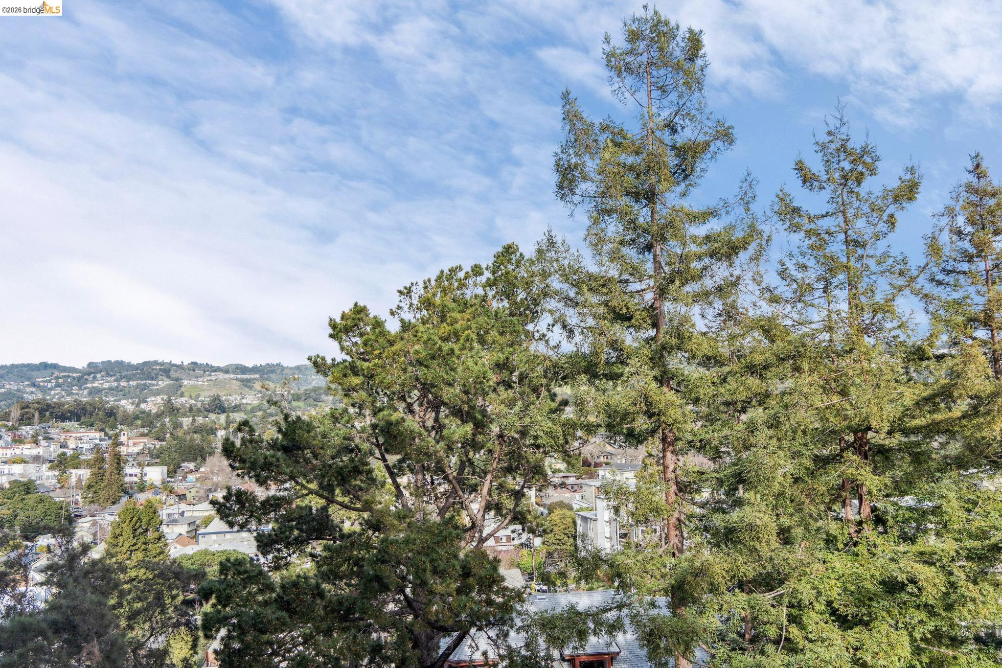 Photo #9: 41124562 Listing: Photo #9