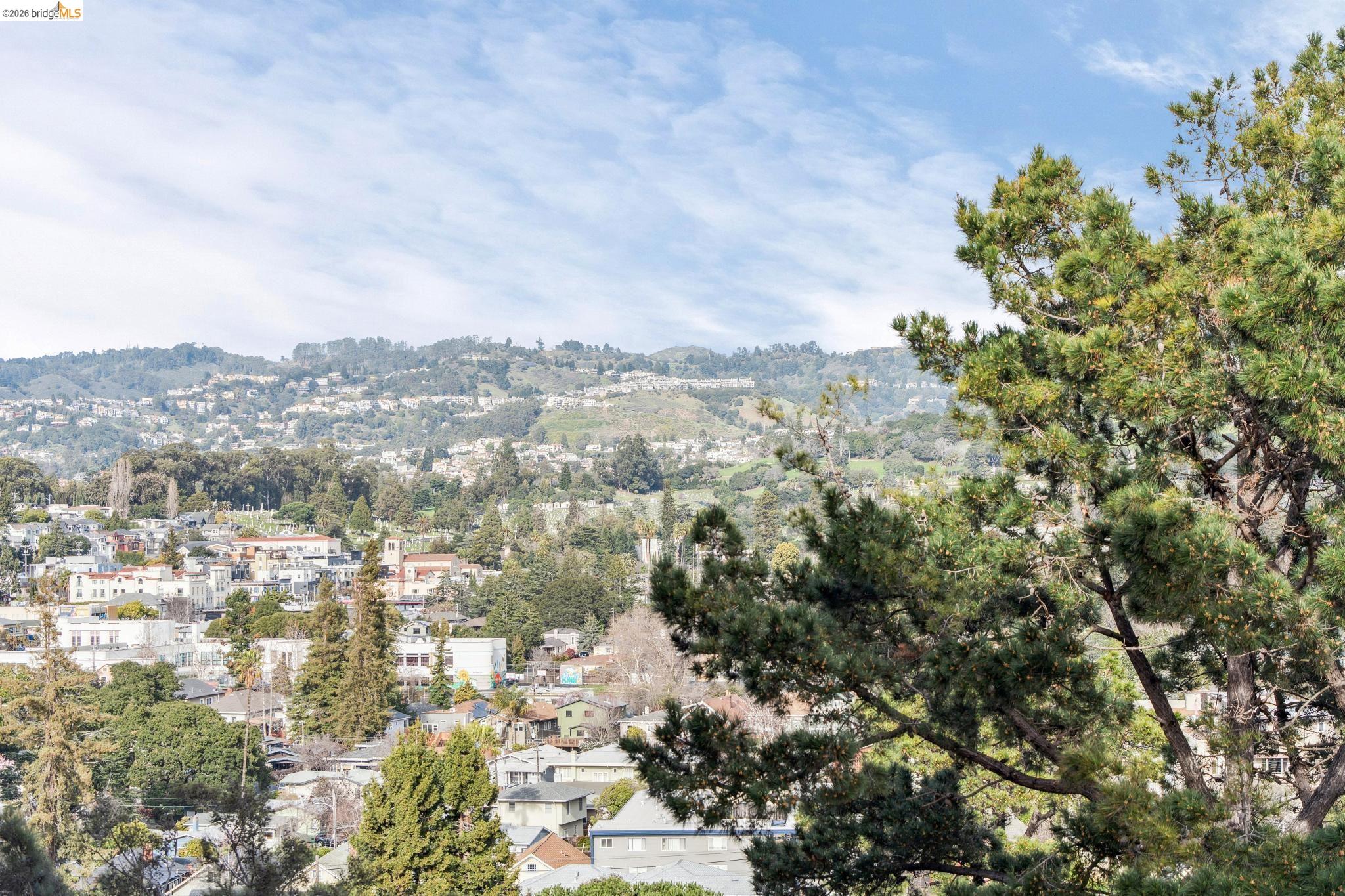 Photo #10: 41124562 Listing: Photo #10