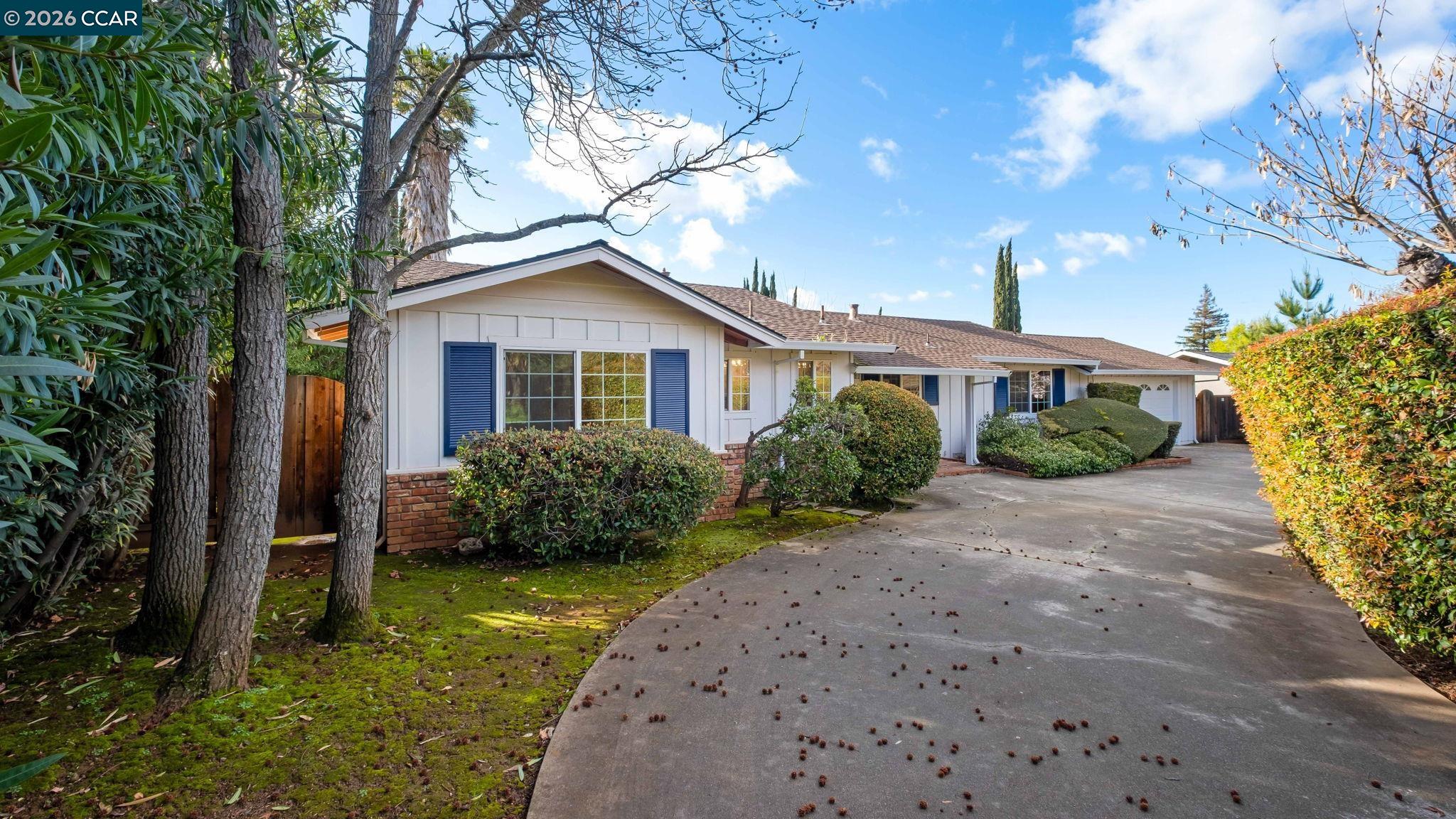 Front Image Thumbnail for CC41124563