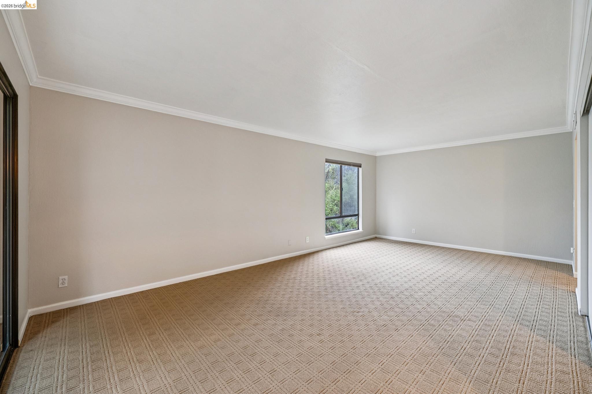 Photo #6: 41124566 Listing: Photo #6