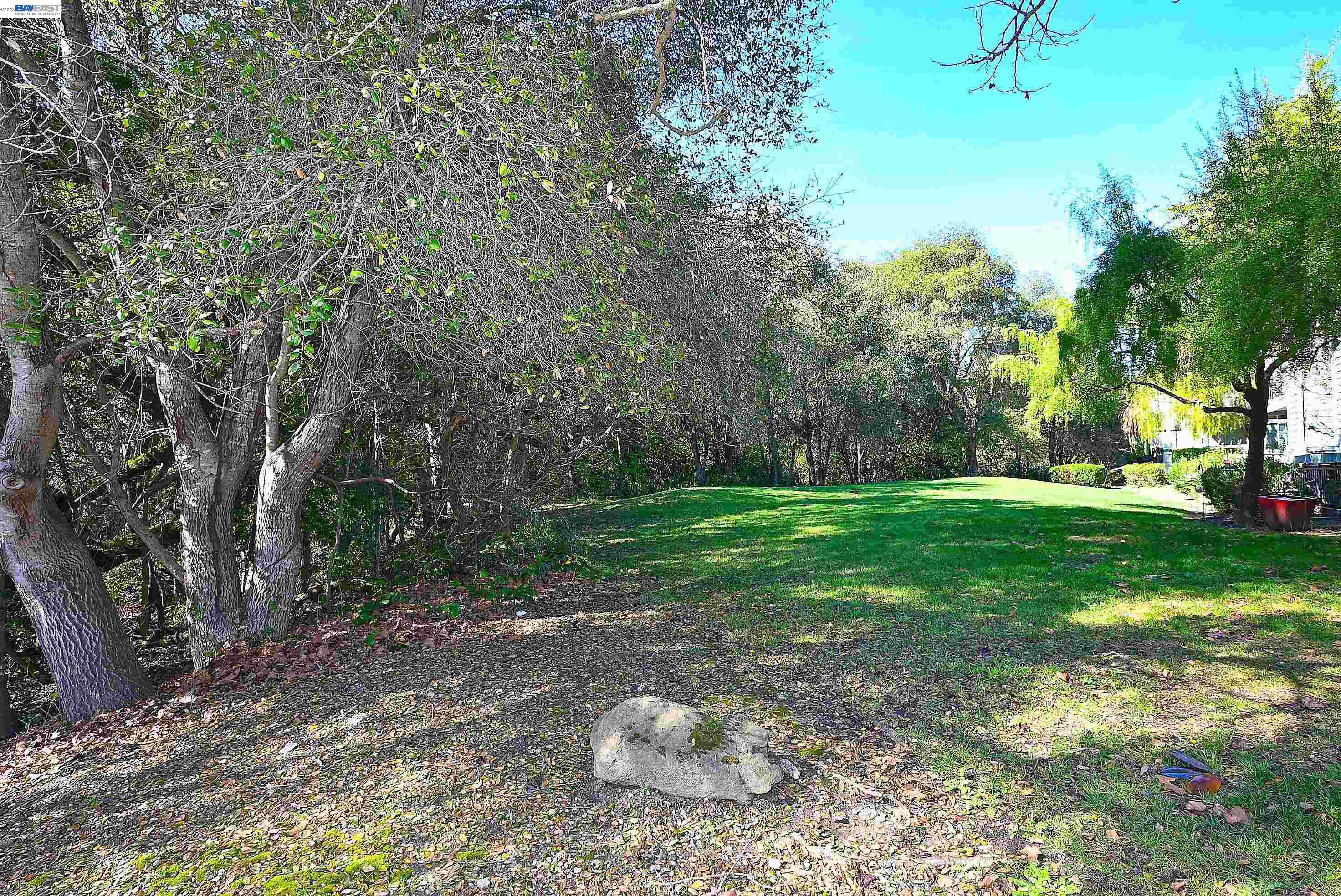 Photo #38: 41124568 Listing: Photo #38