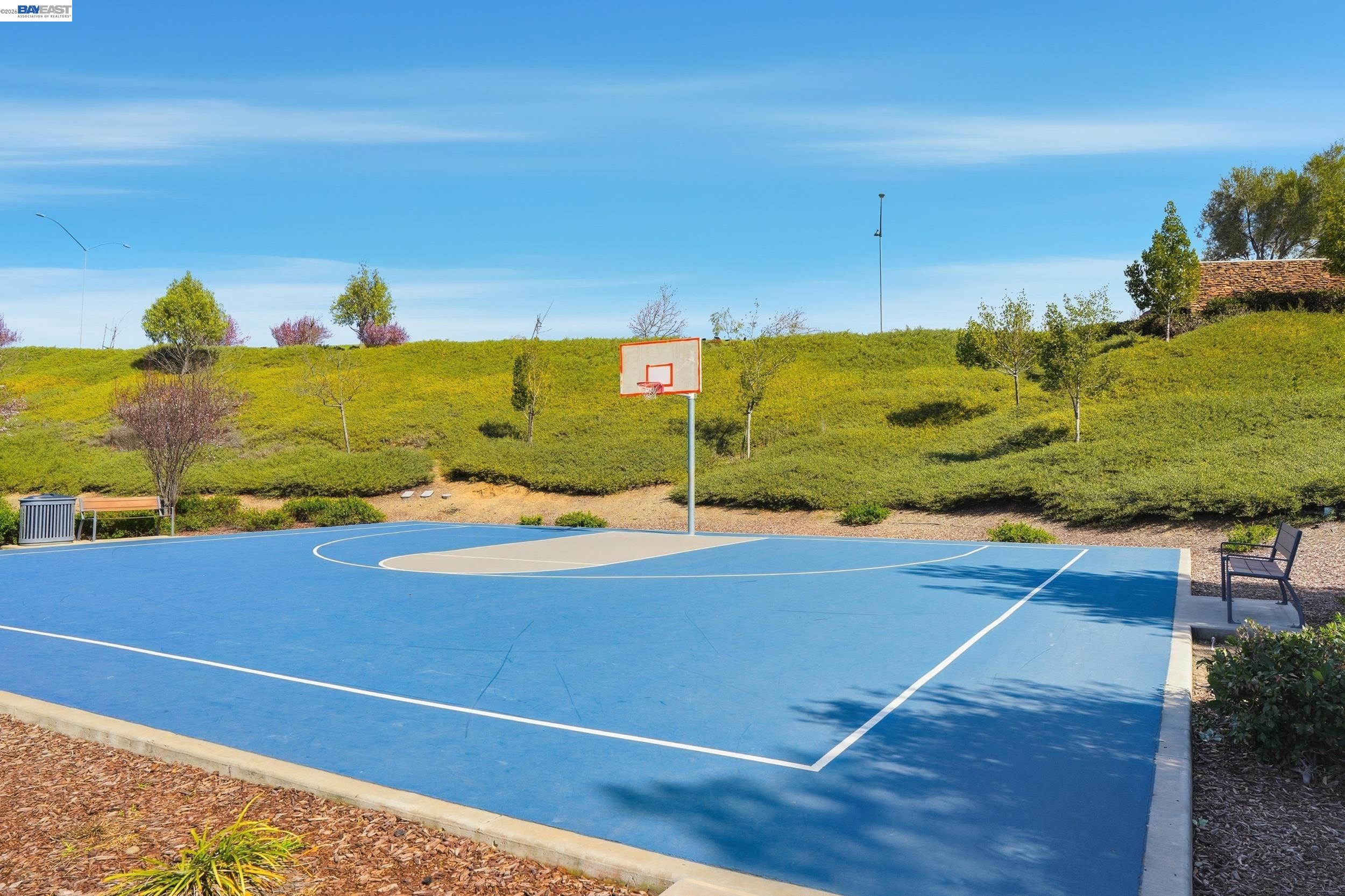 Photo #36: 41124606 Listing: Photo #36