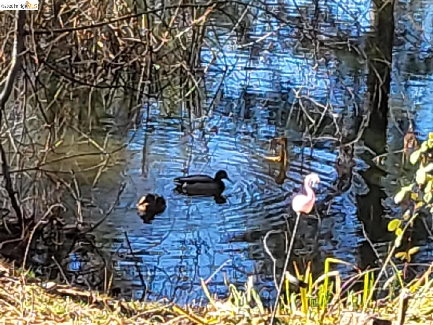 Detail Gallery Image 11 of 58 For 1750 Sliger Mine Rd, Greenwood,  CA 95635 - 3 Beds | 2 Baths