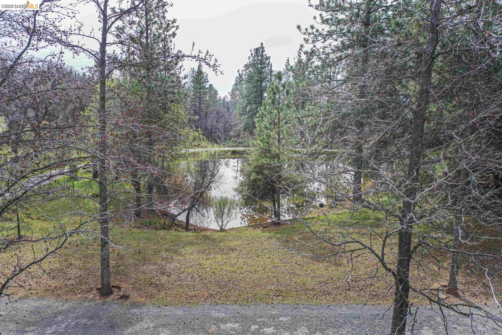 Detail Gallery Image 11 of 59 For 1750 Sliger Mine Rd, Greenwood,  CA 95635 - 3 Beds | 2 Baths