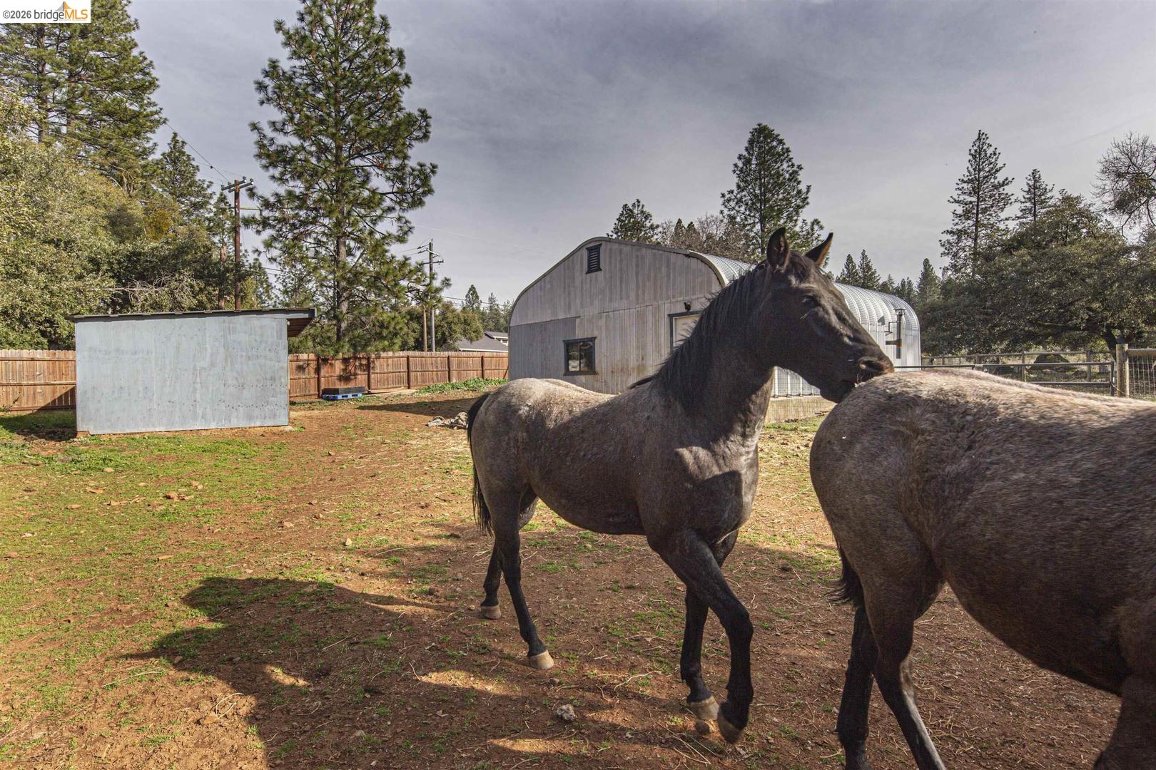Detail Gallery Image 54 of 59 For 1750 Sliger Mine Rd, Greenwood,  CA 95635 - 3 Beds | 2 Baths
