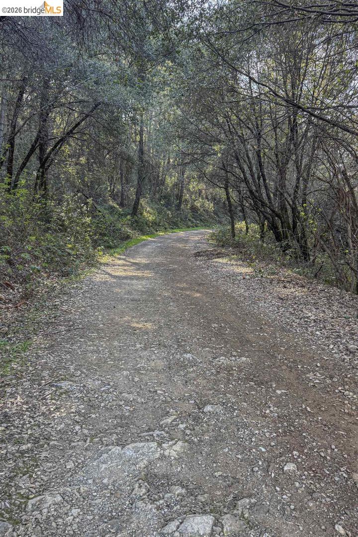 Detail Gallery Image 56 of 58 For 1750 Sliger Mine Rd, Greenwood,  CA 95635 - 3 Beds | 2 Baths