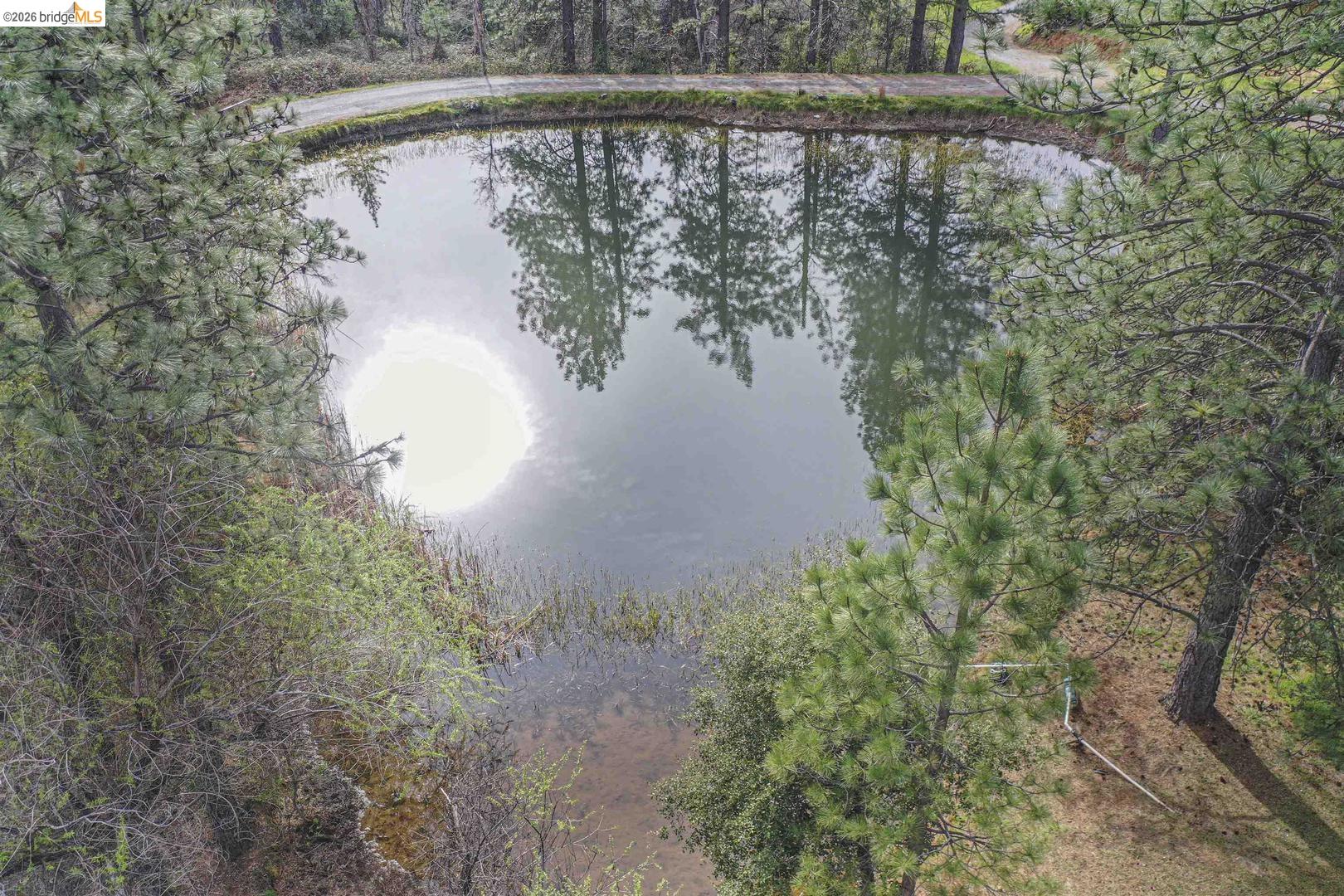 Detail Gallery Image 9 of 58 For 1750 Sliger Mine Rd, Greenwood,  CA 95635 - 3 Beds | 2 Baths