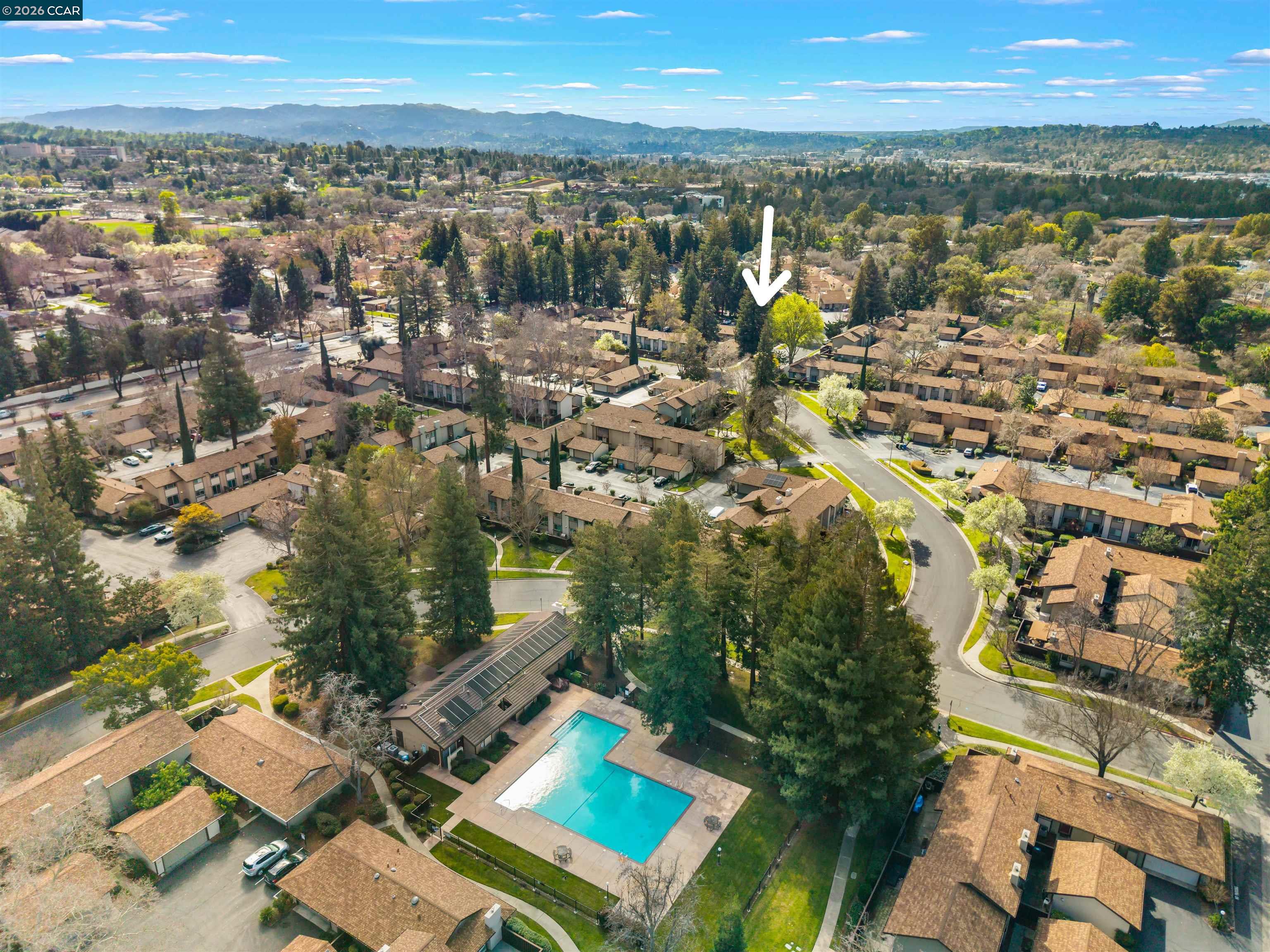 Photo #29: 41124616 Listing: Photo #29