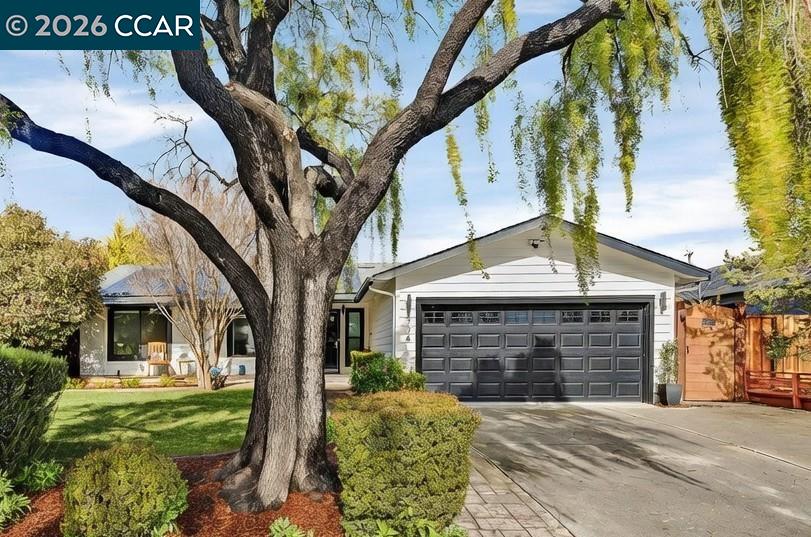 Front Image Thumbnail for CC41124643