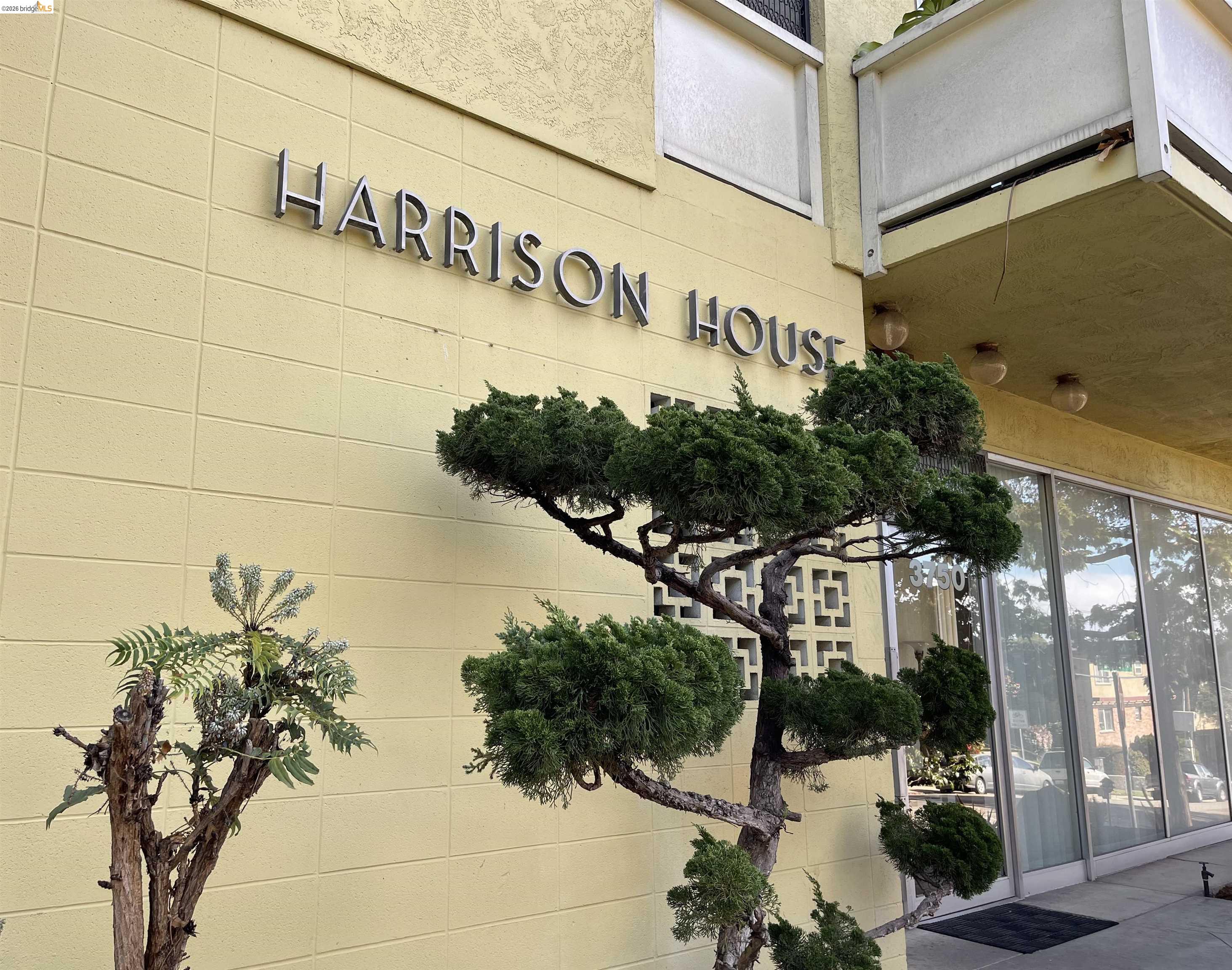 Photo #17: 41124665 Listing: Photo #17